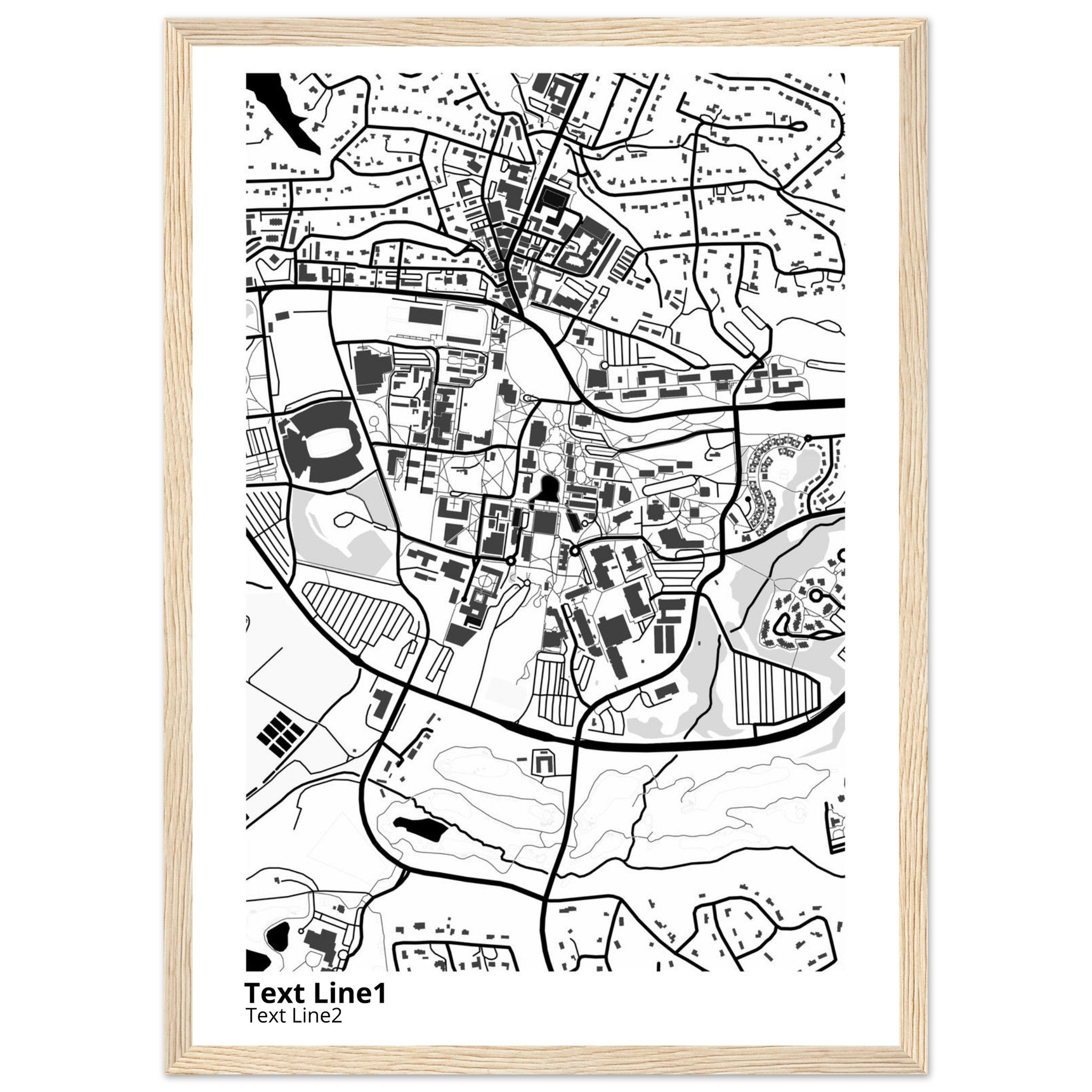 Clemson University South Carolina Campus Map Poster | Graduation Gift - Ink And Atlas