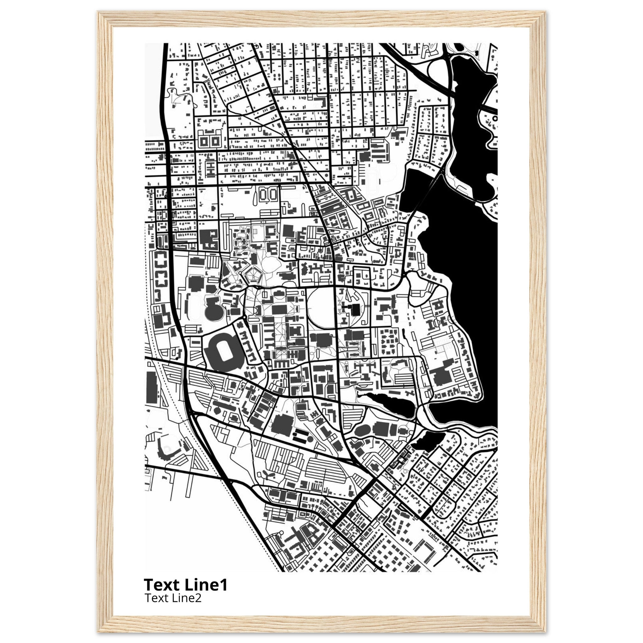 louisiana state university and agricultural and mechanical college campus map poster