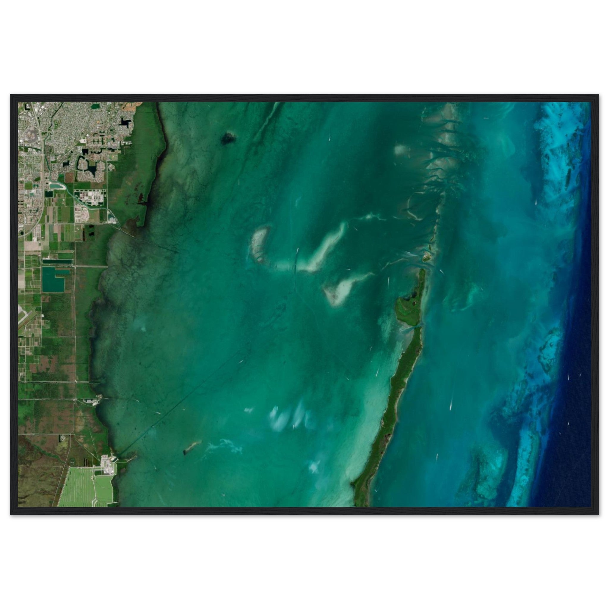 Biscayne National Park Natural Earth Print - Ink And Atlas