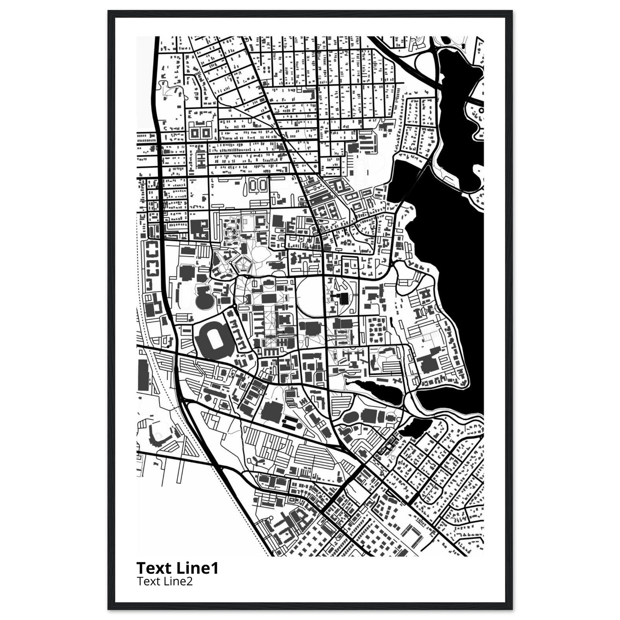 louisiana state university and agricultural and mechanical college campus map poster