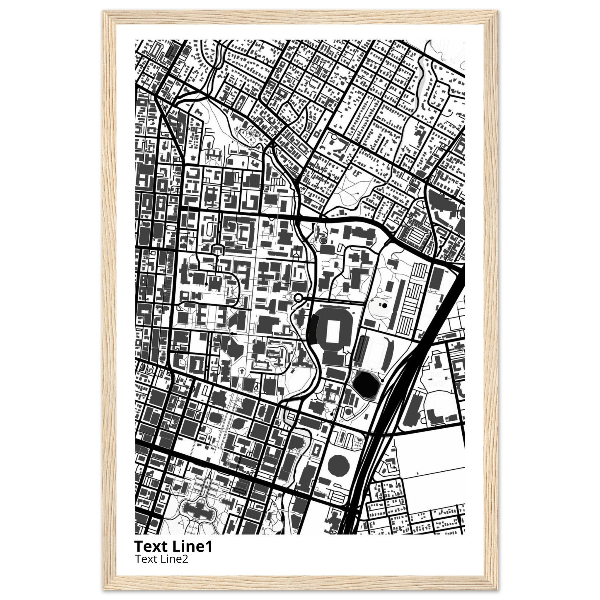 University of Texas at Austin Campus Map Poster | Graduation Gift - Ink And Atlas