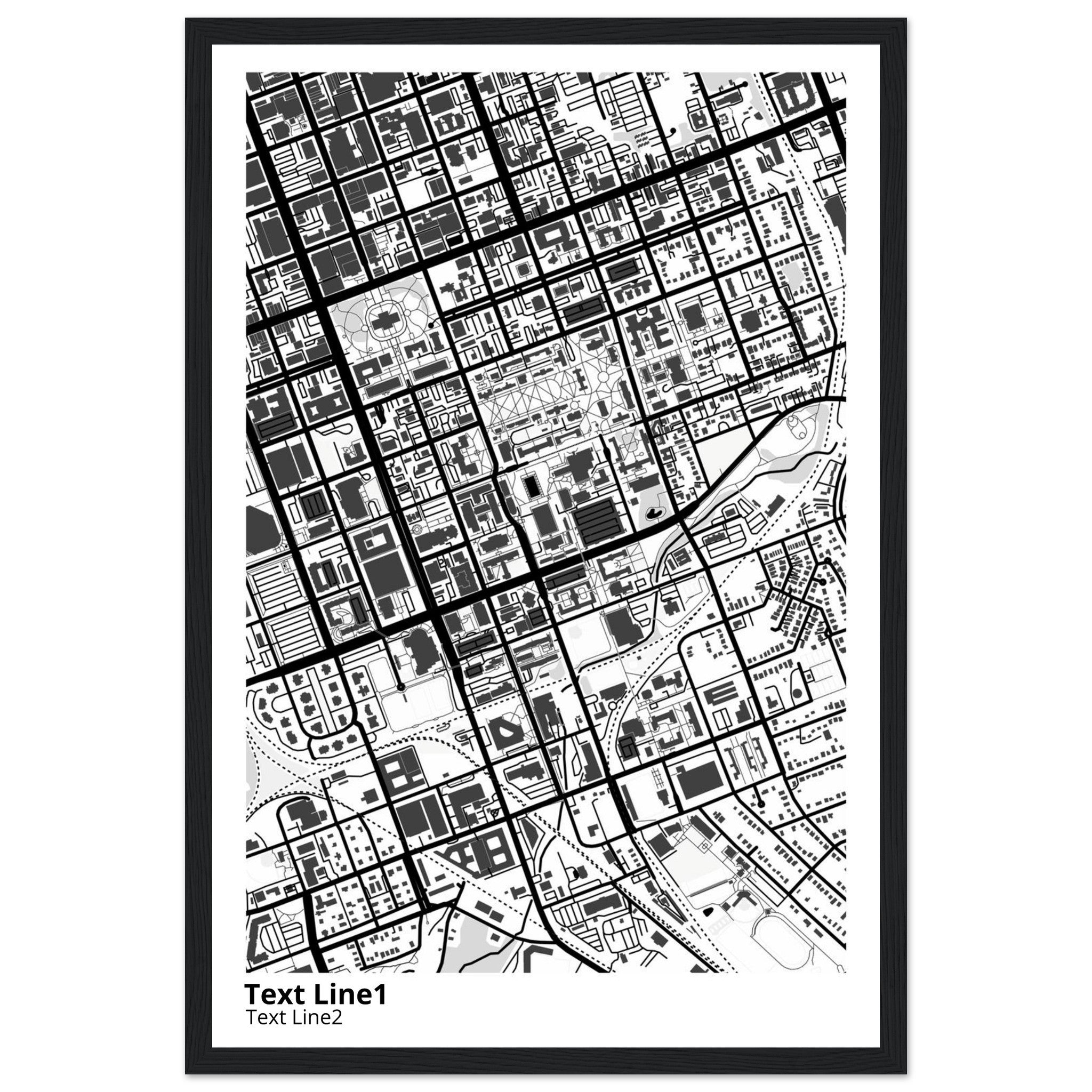 University of SC (Columbia) Campus Map Poster | Graduation Gift - Ink And Atlas