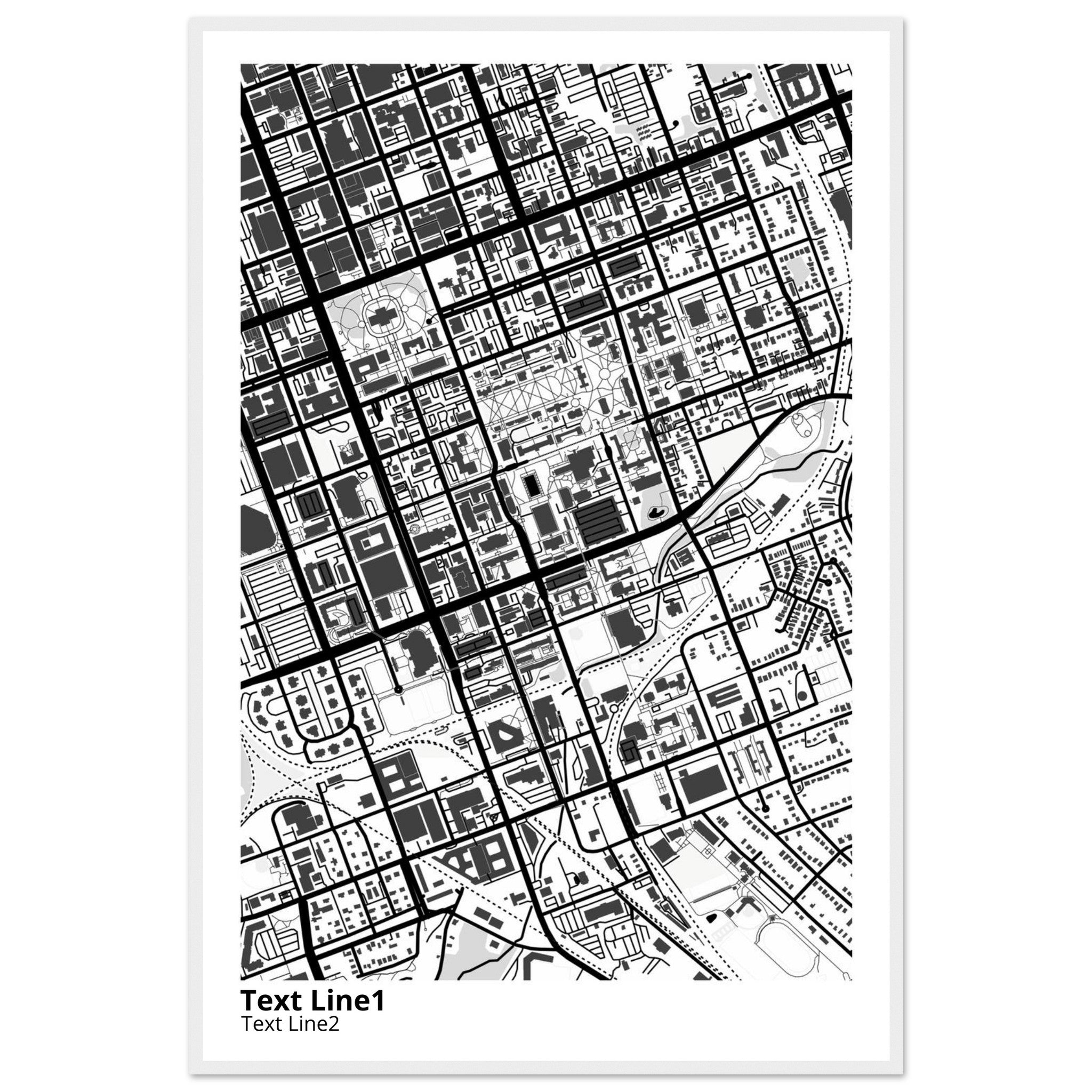 University of SC (Columbia) Campus Map Poster | Graduation Gift - Ink And Atlas