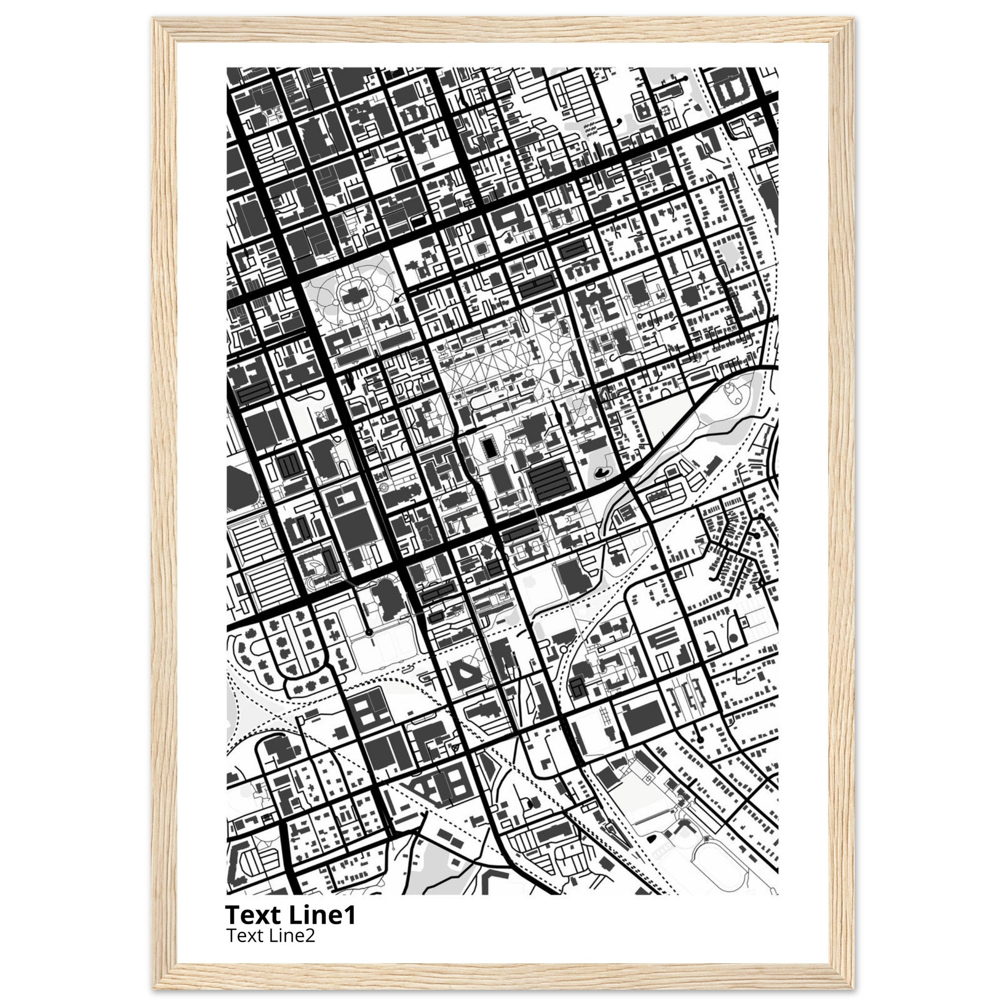University of SC (Columbia) Campus Map Poster | Graduation Gift - Ink And Atlas