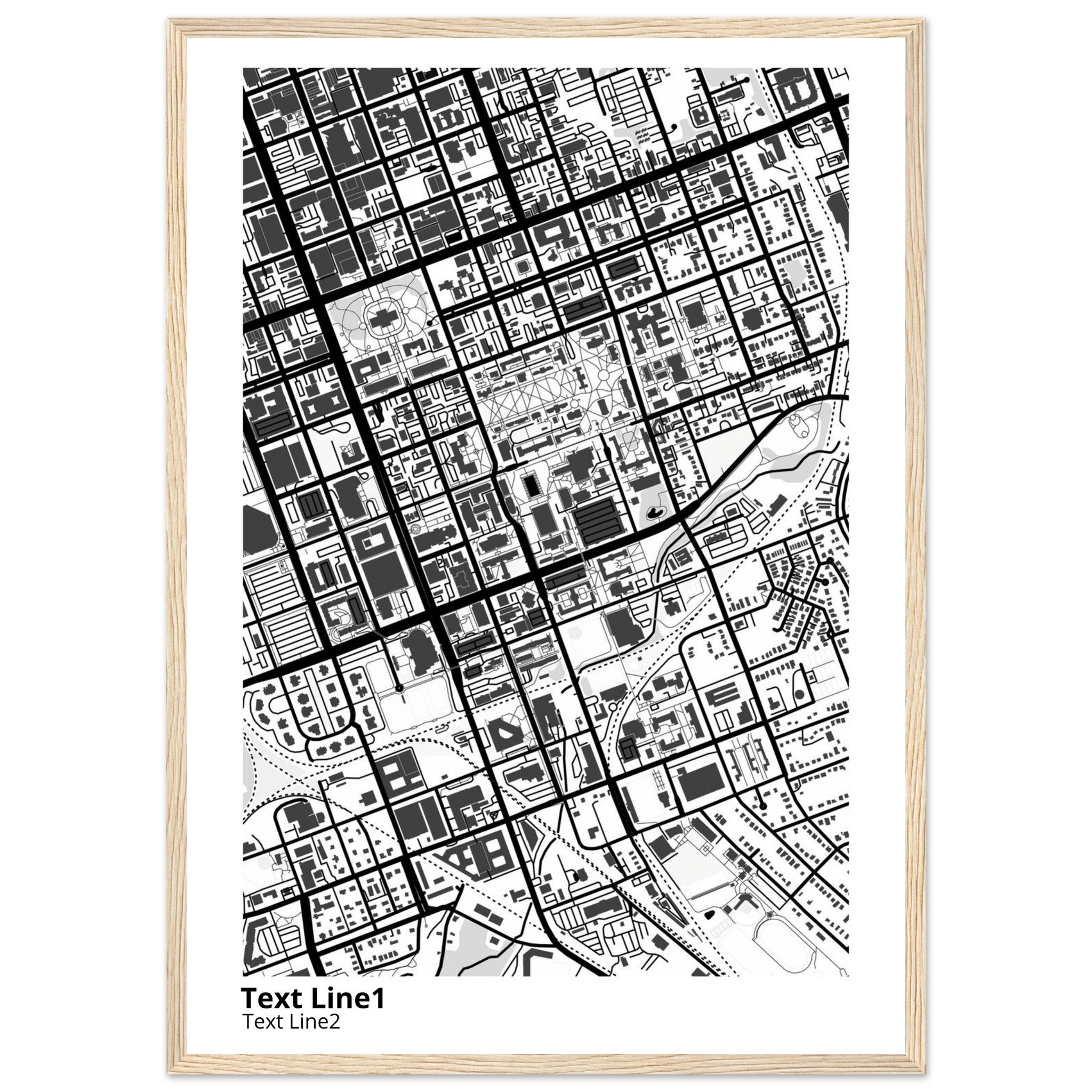 University of SC (Columbia) Campus Map Poster | Graduation Gift - Ink And Atlas