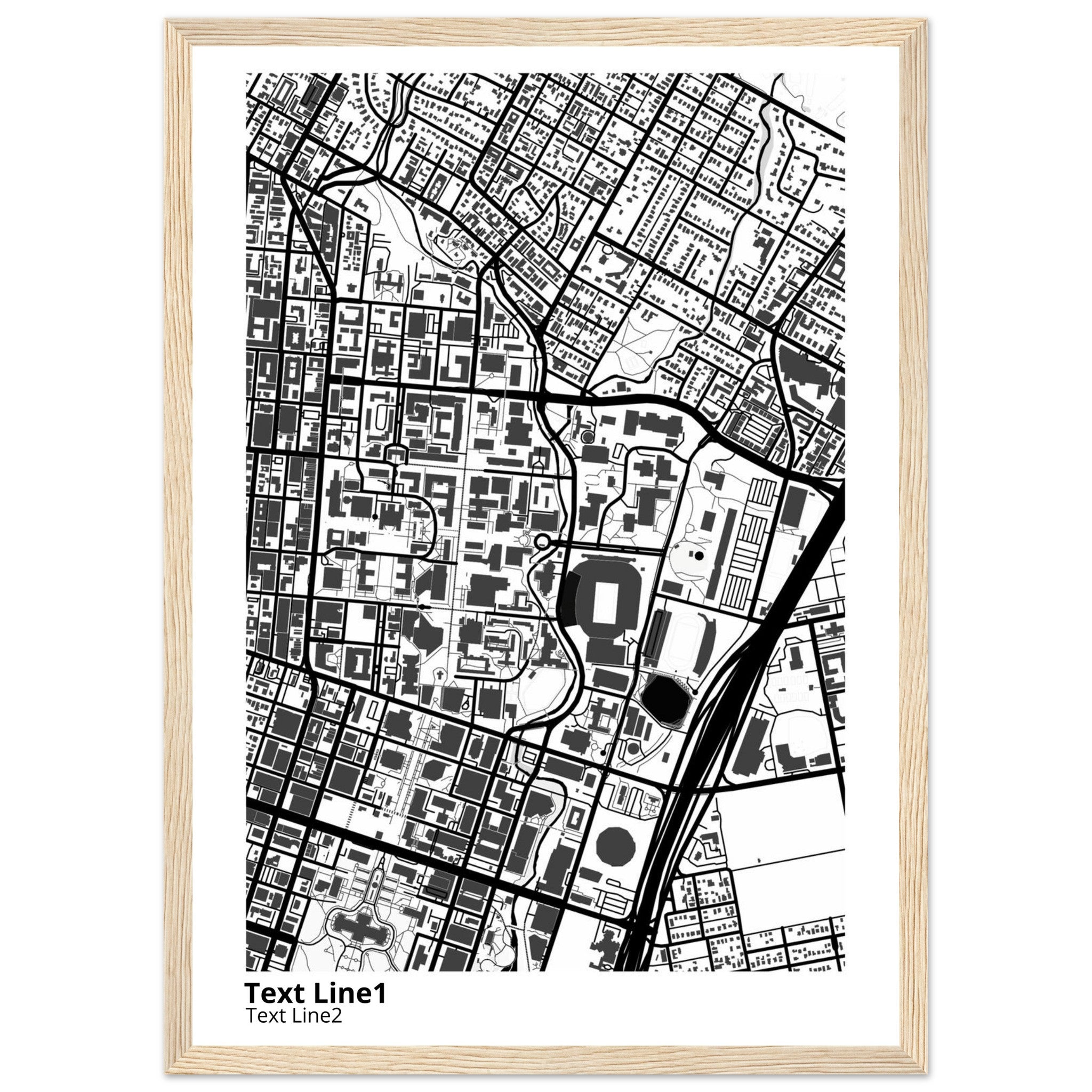 University of Texas at Austin Campus Map Poster | Graduation Gift - Ink And Atlas