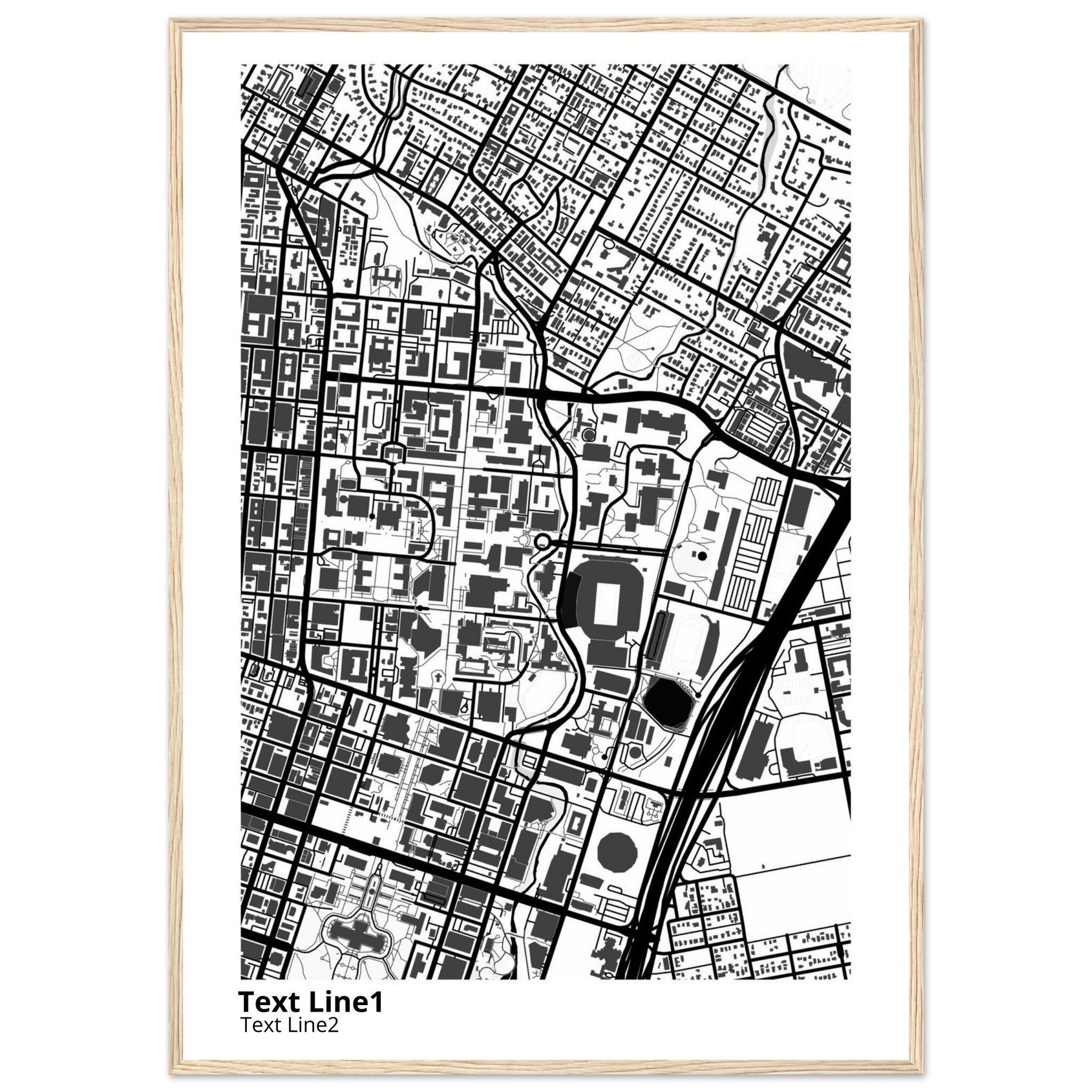 University of Texas at Austin Campus Map Poster | Graduation Gift - Ink And Atlas