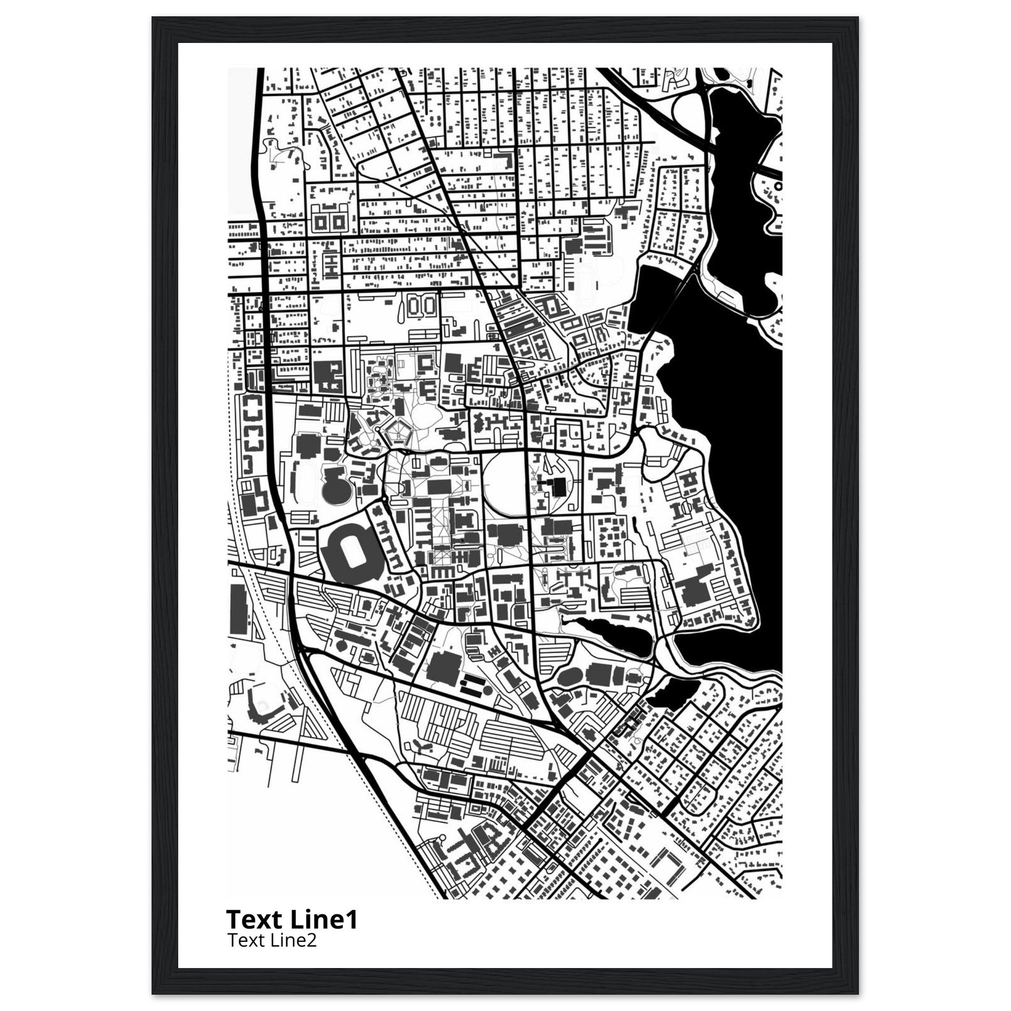 louisiana state university and agricultural and mechanical college campus map poster