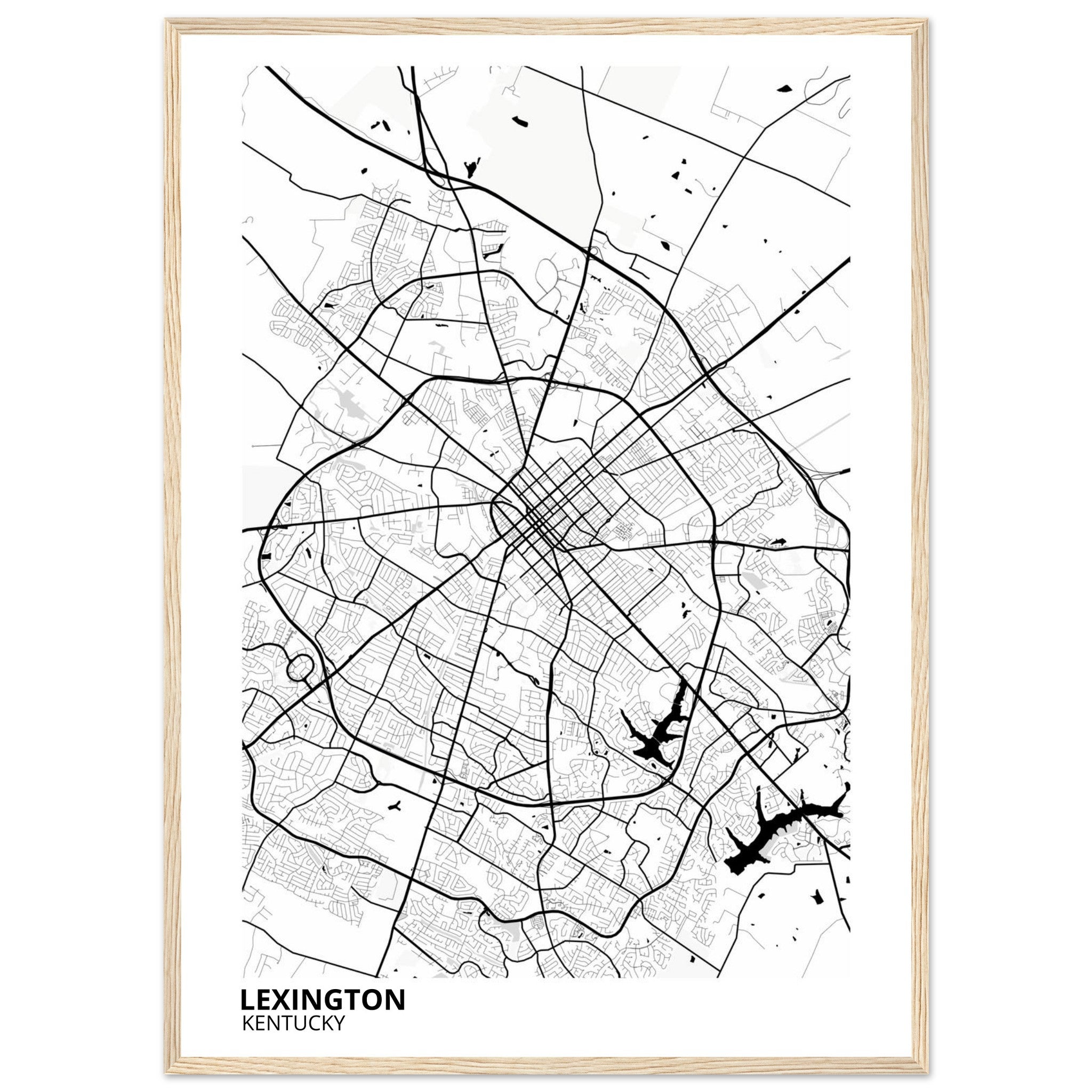 Lexington Kentucky City Map Poster | Custom Map Art Print - Ink And Atlas