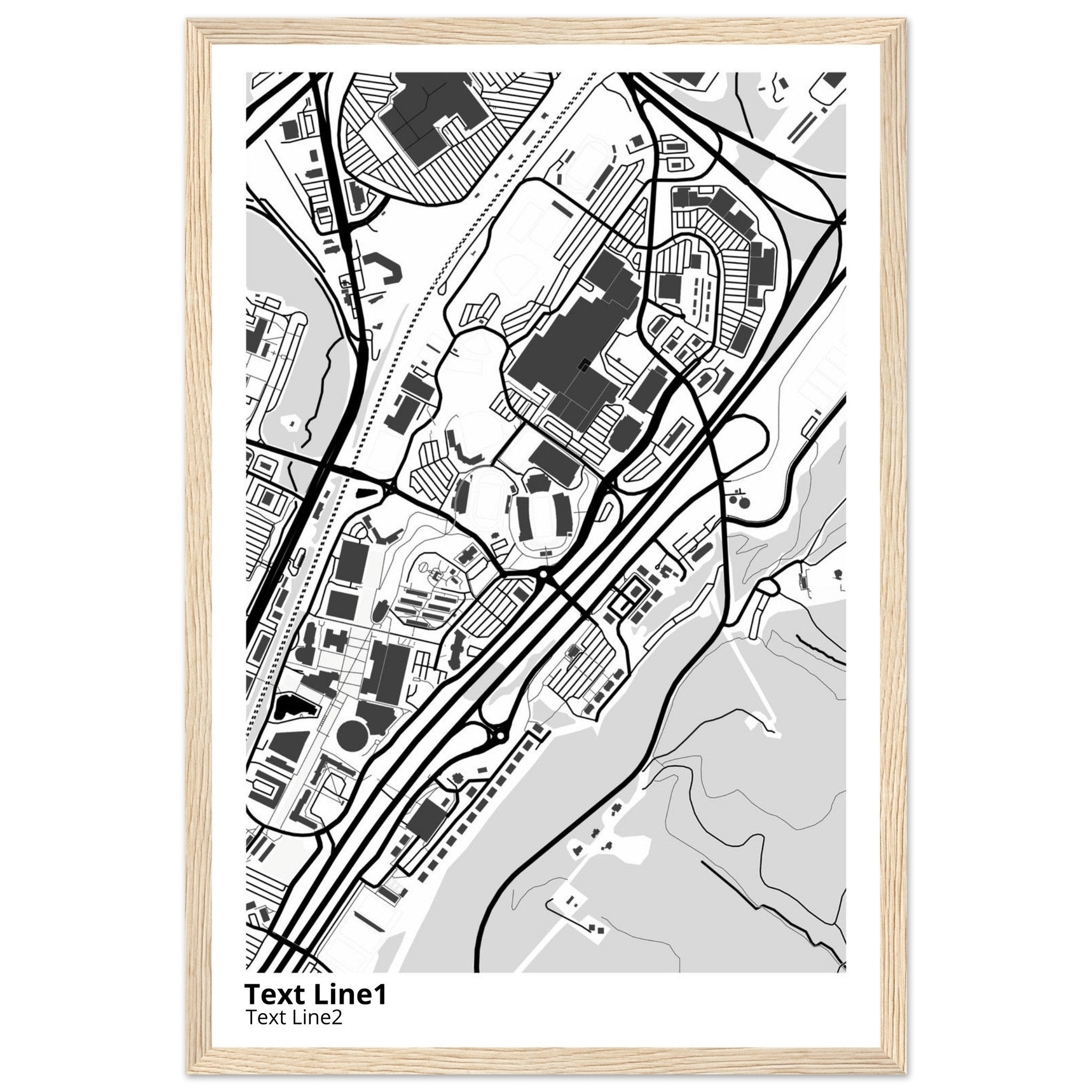 Liberty University Virginia Campus Map Poster | Graduation Gift - Ink And Atlas