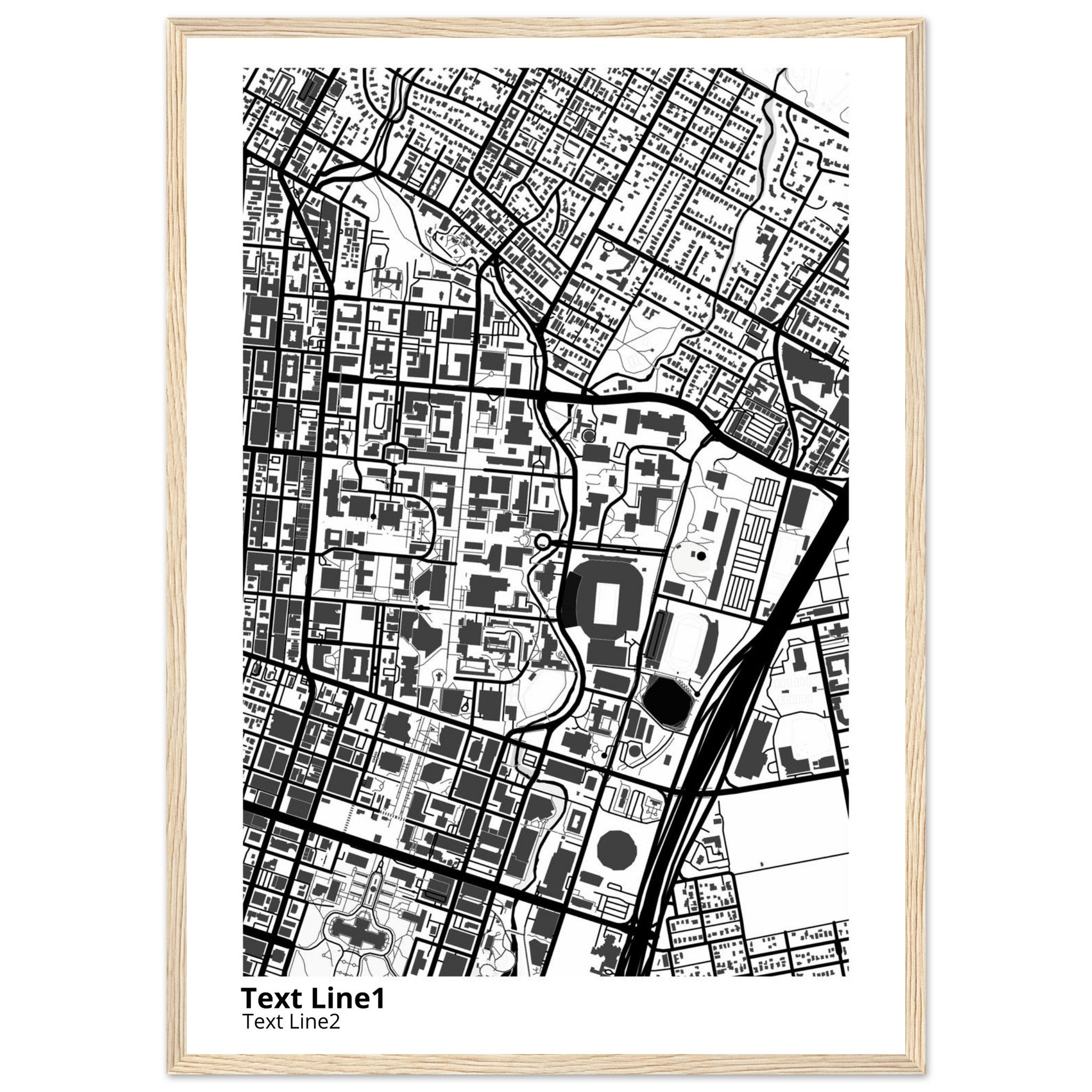 University of Texas at Austin Campus Map Poster | Graduation Gift - Ink And Atlas