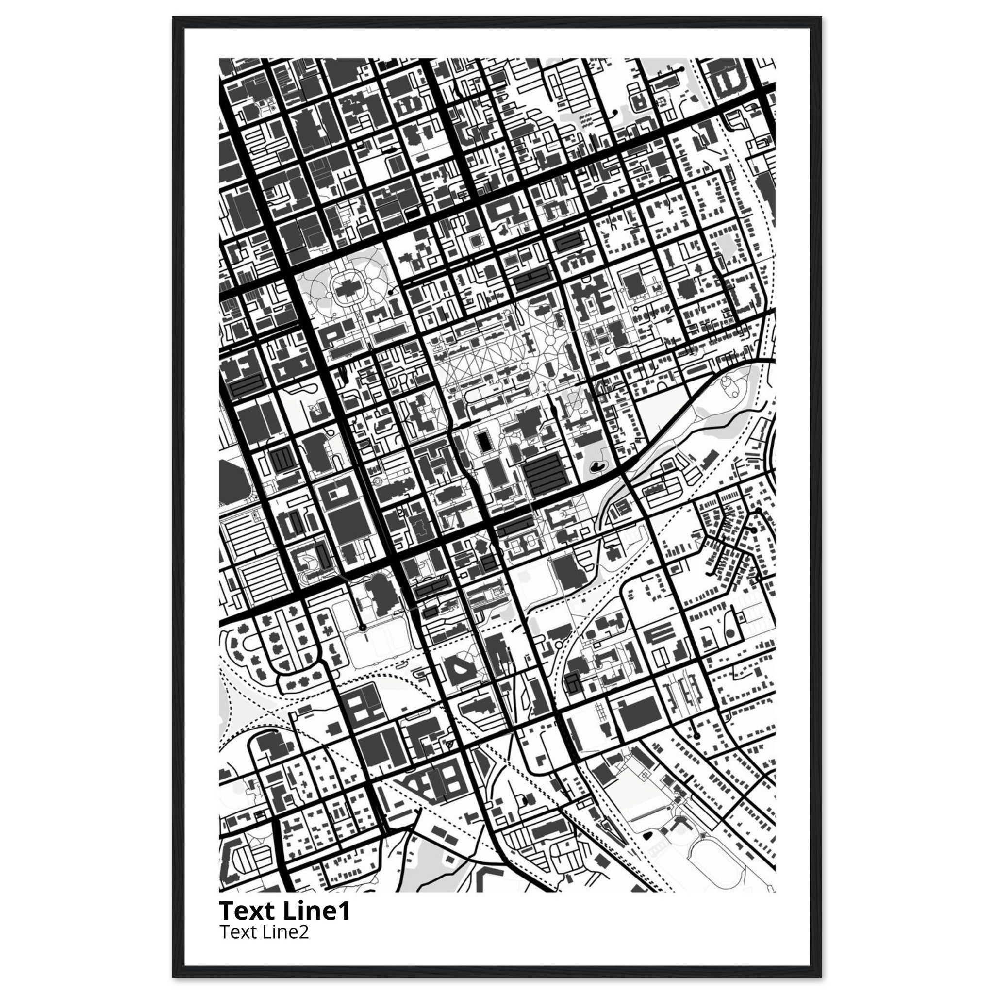 University of SC (Columbia) Campus Map Poster | Graduation Gift - Ink And Atlas