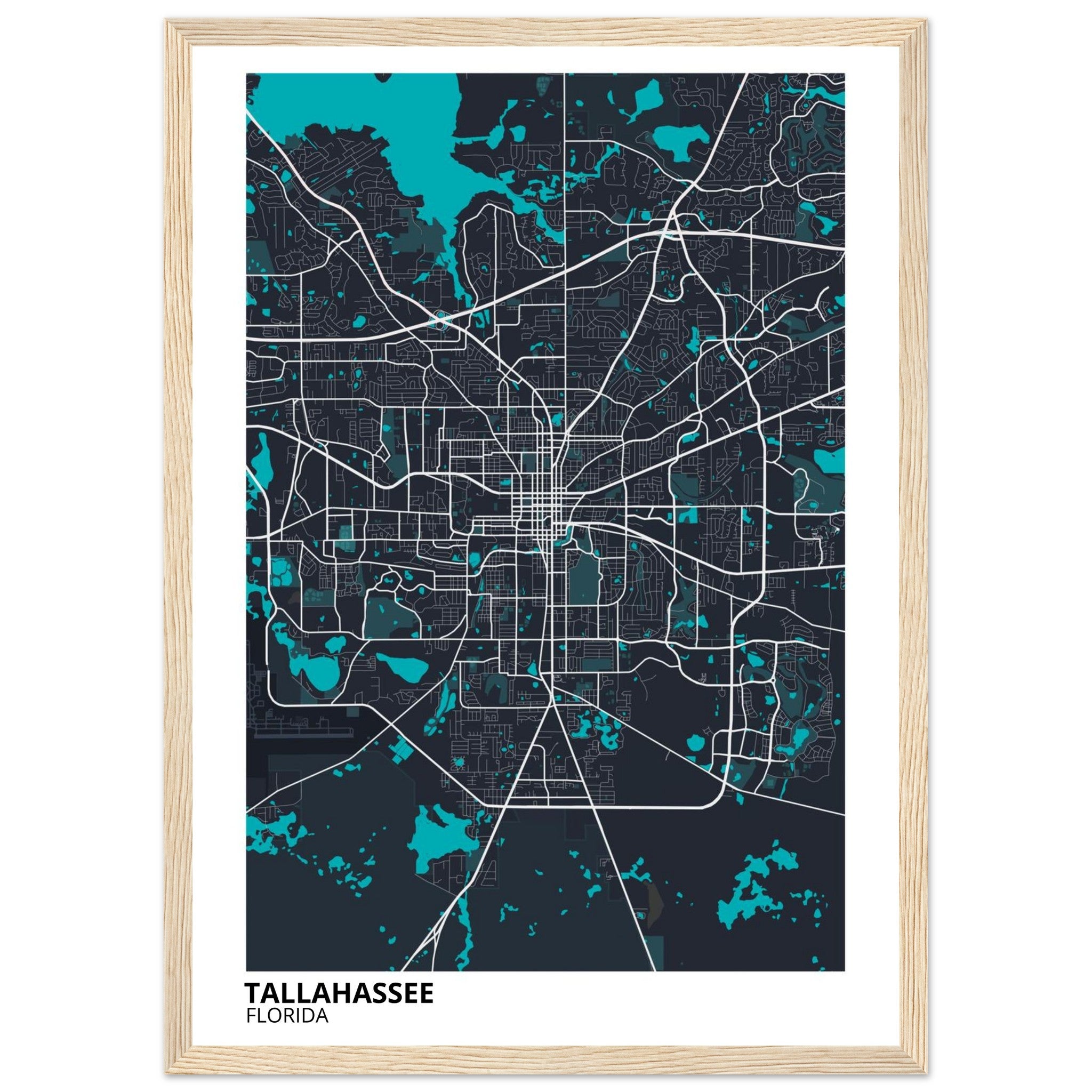 tallahassee map poster print