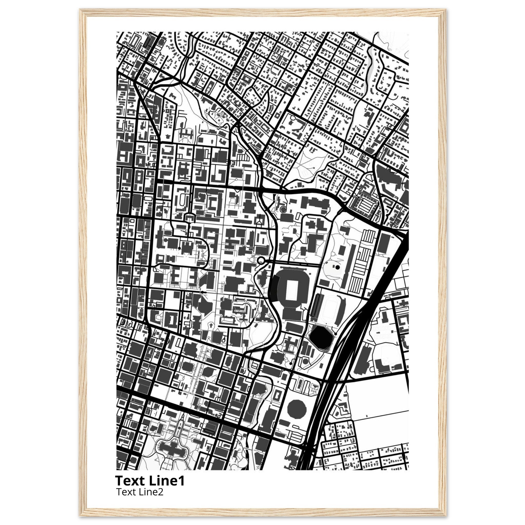 University of Texas at Austin Campus Map Poster | Graduation Gift - Ink And Atlas
