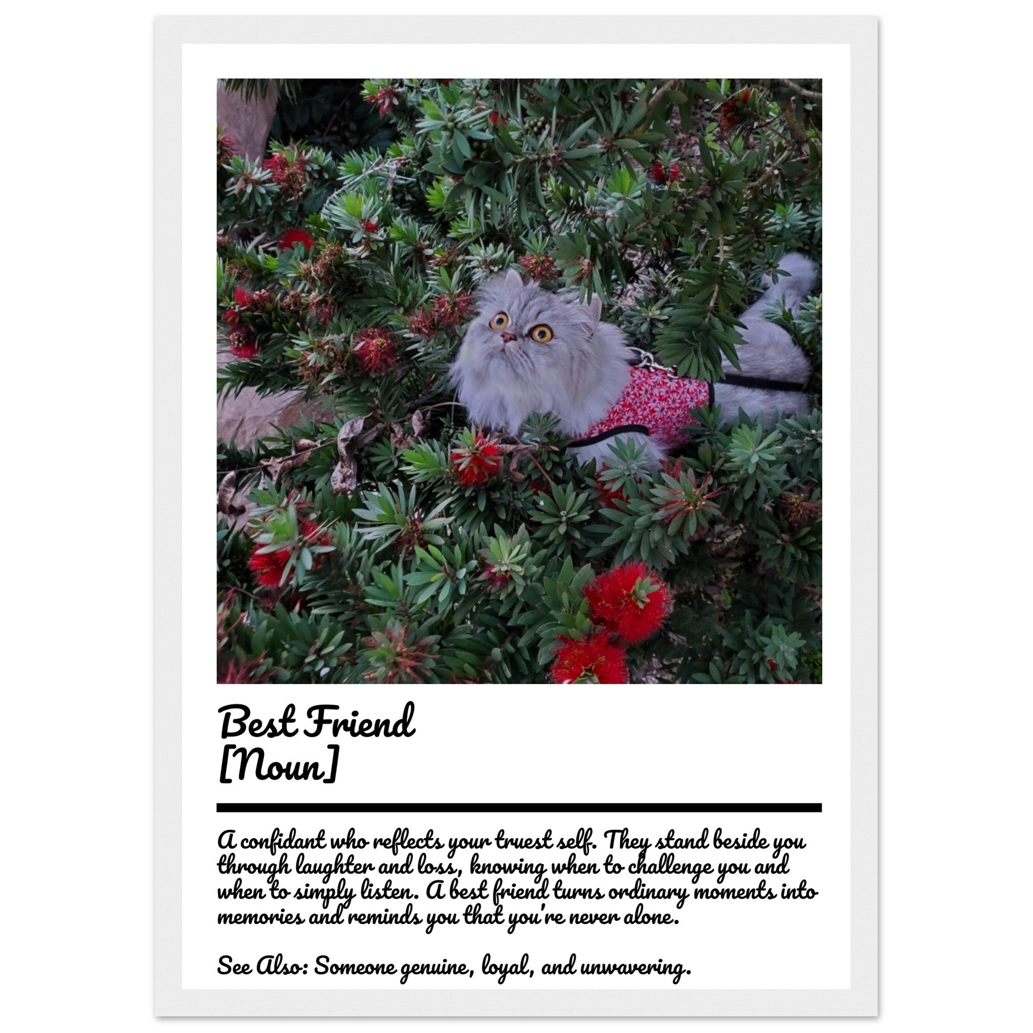 52a15e19-edad-4429-9b86-212ce83f271b