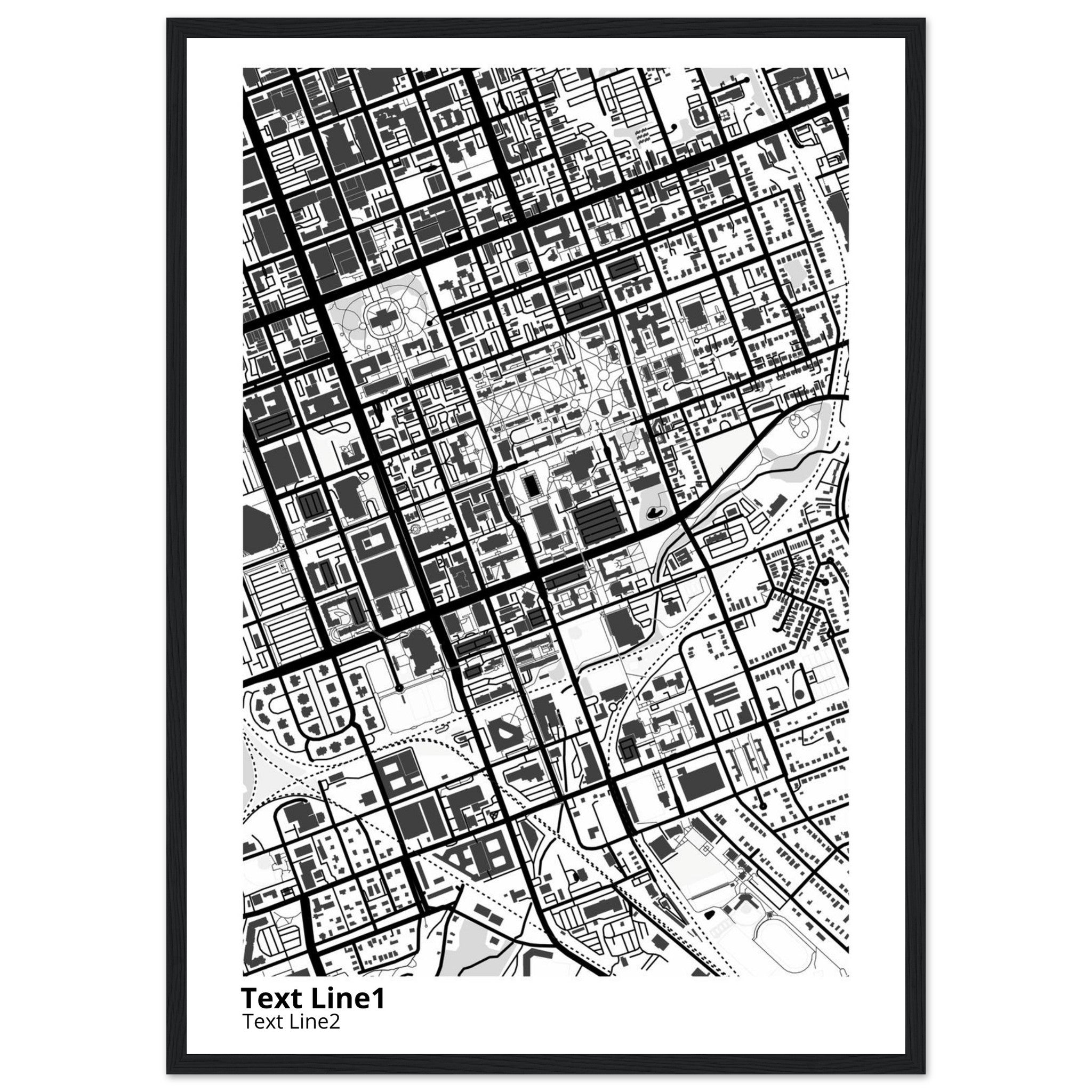 University of SC (Columbia) Campus Map Poster | Graduation Gift - Ink And Atlas