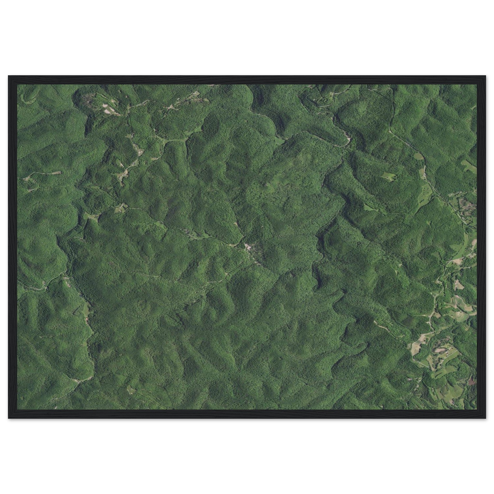 Wind Cave National Park Natural Earth Print - Ink And Atlas