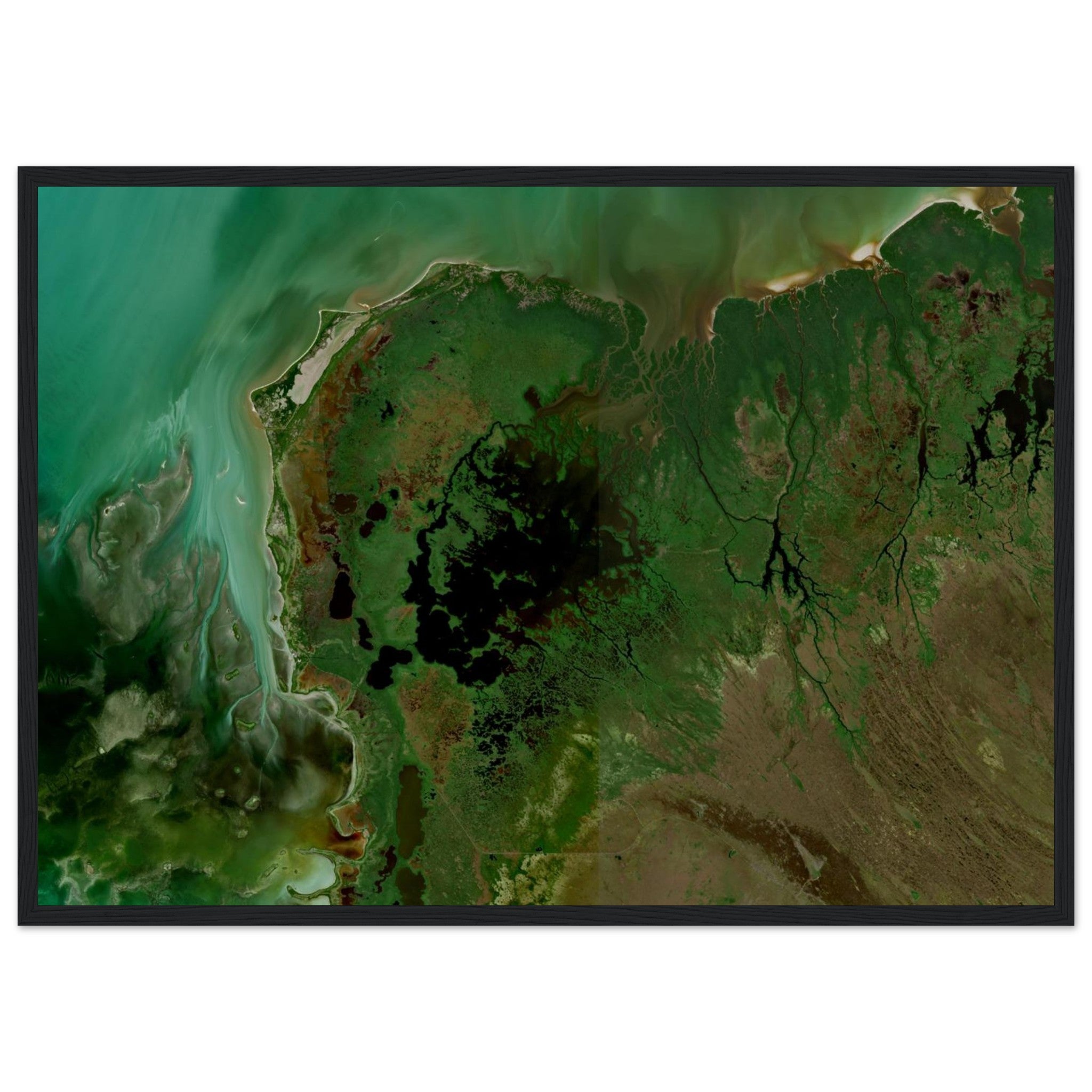 Everglades National Park Natural Earth Print - Ink And Atlas