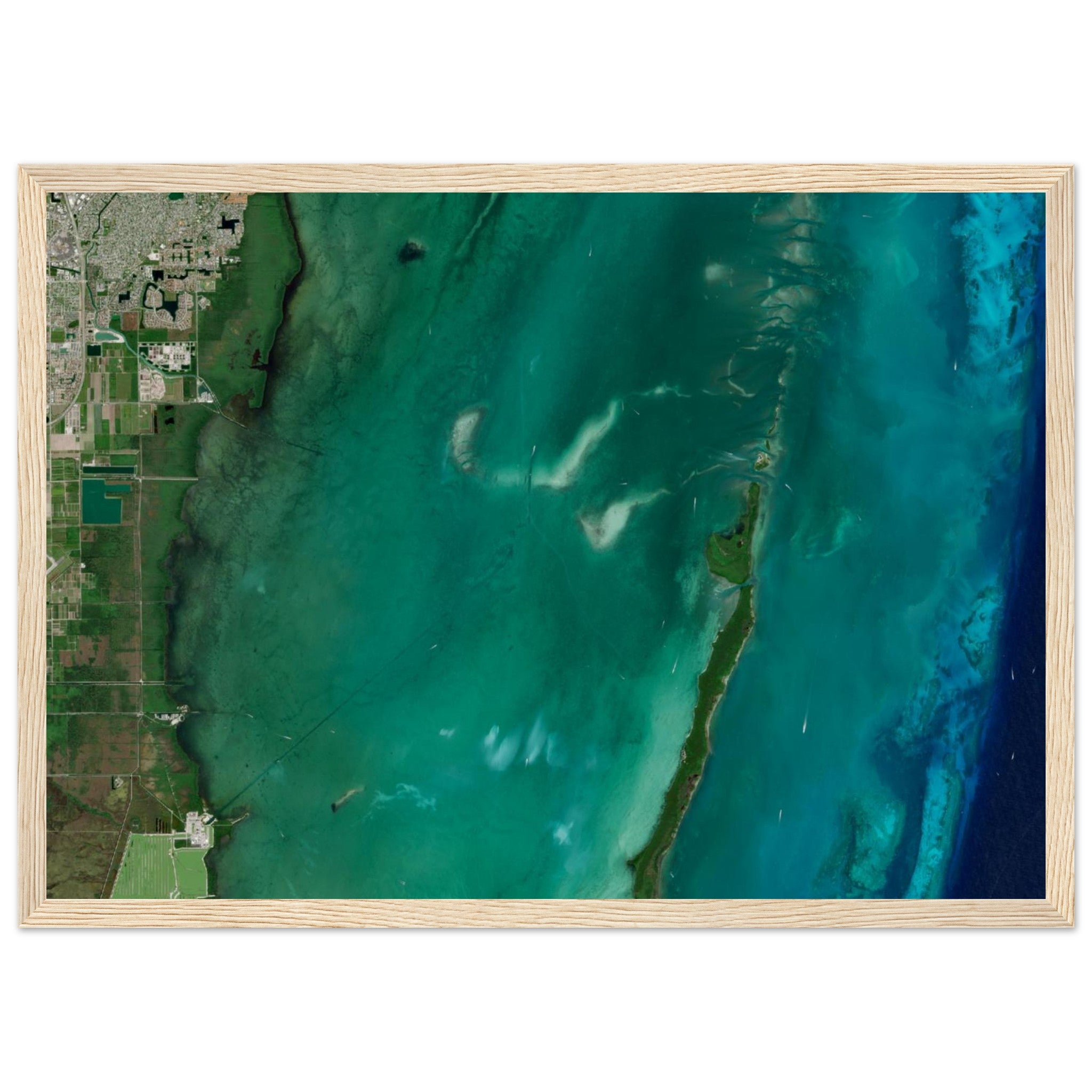 Biscayne National Park Natural Earth Print - Ink And Atlas