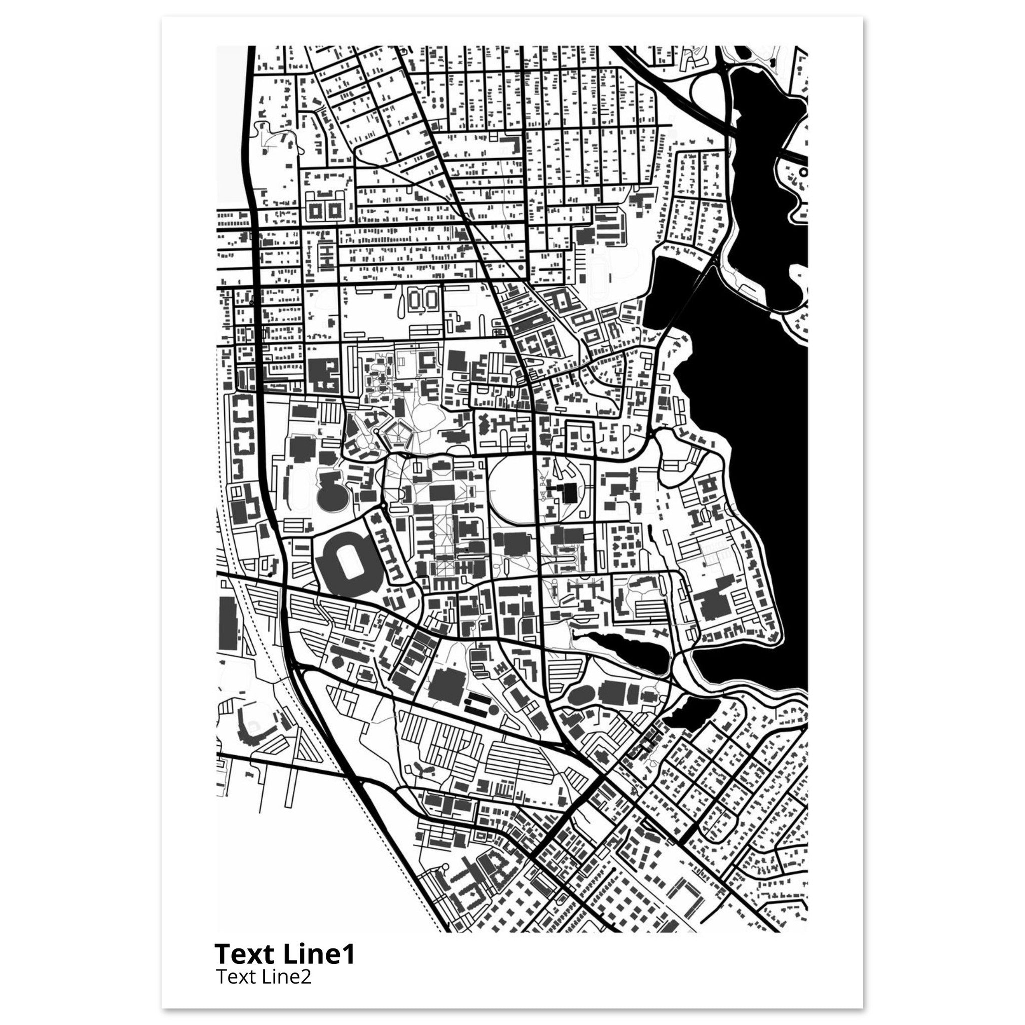 louisiana state university and agricultural and mechanical college campus map poster