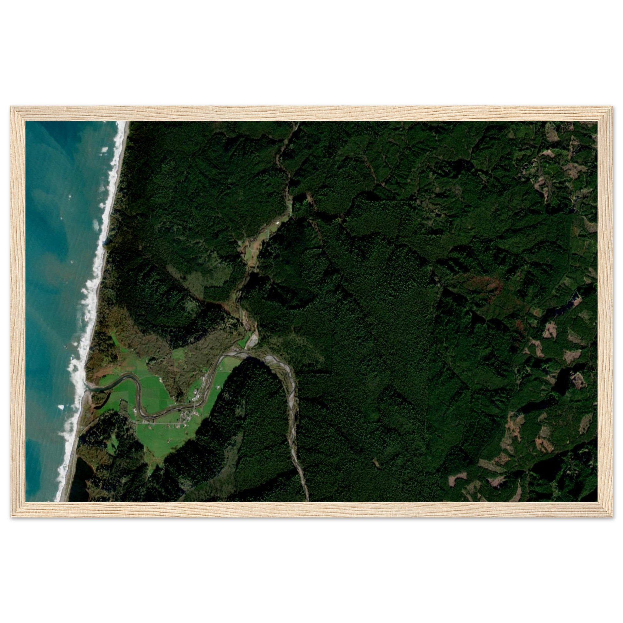 Redwood National Park Natural Earth Print - Ink And Atlas