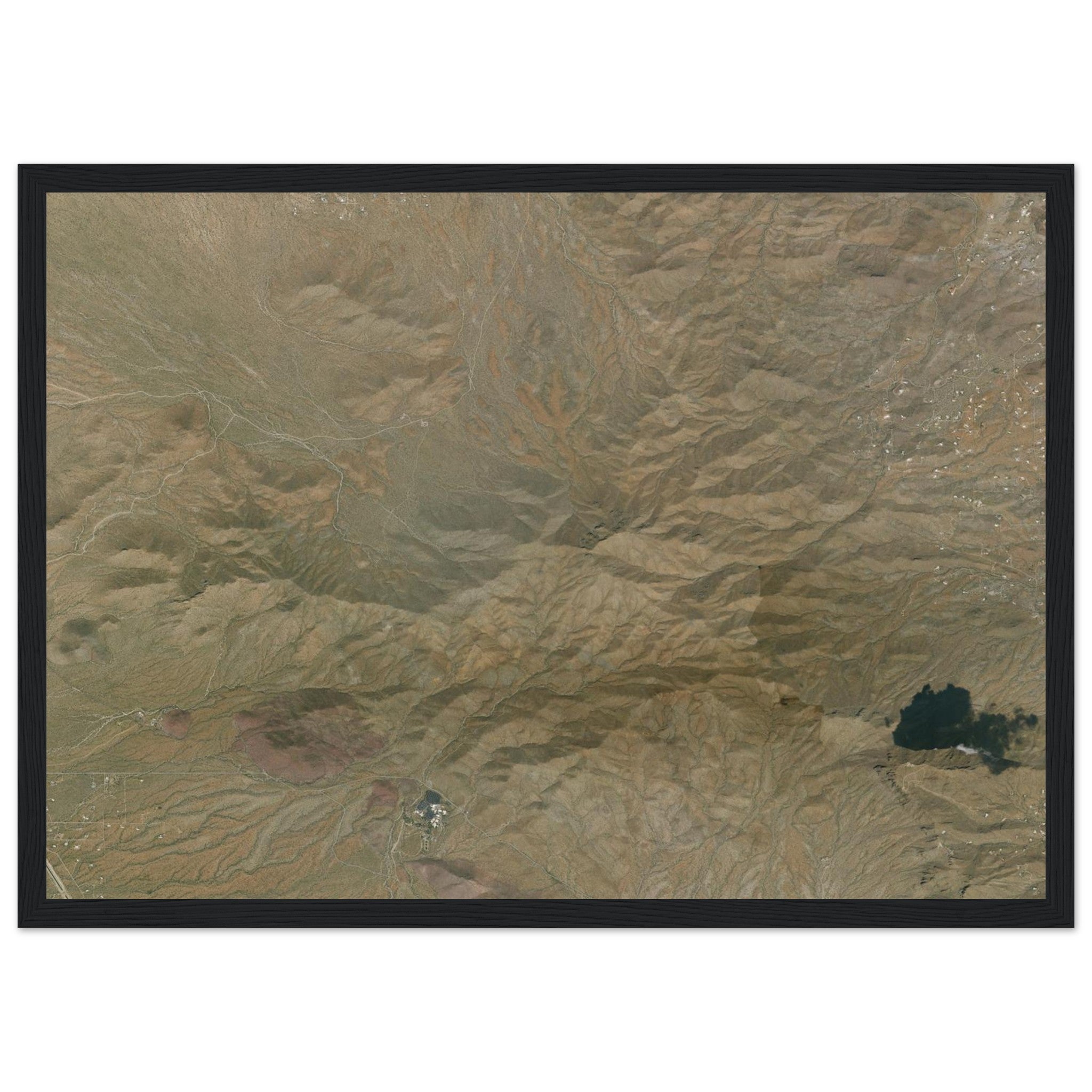 Saguaro National Park Natural Earth Print - Ink And Atlas
