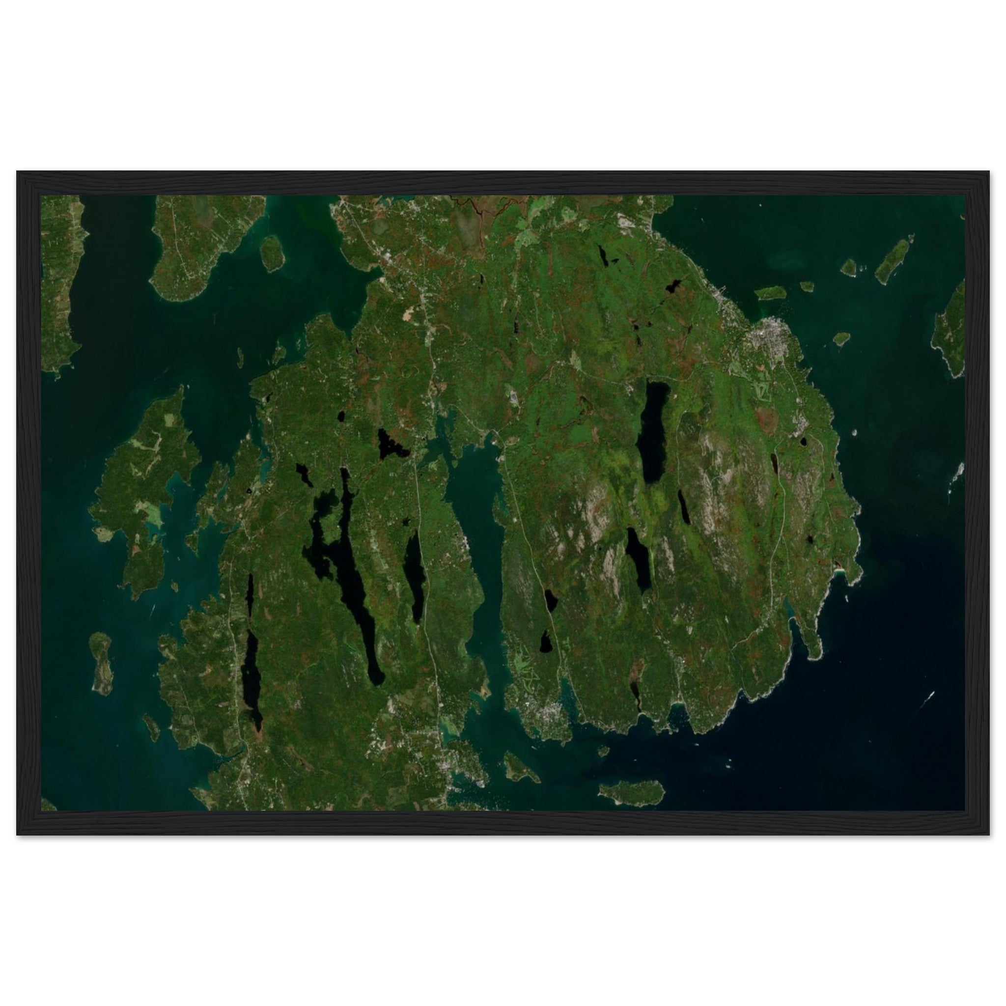 Acadia National Park Natural Earth Print - Ink And Atlas