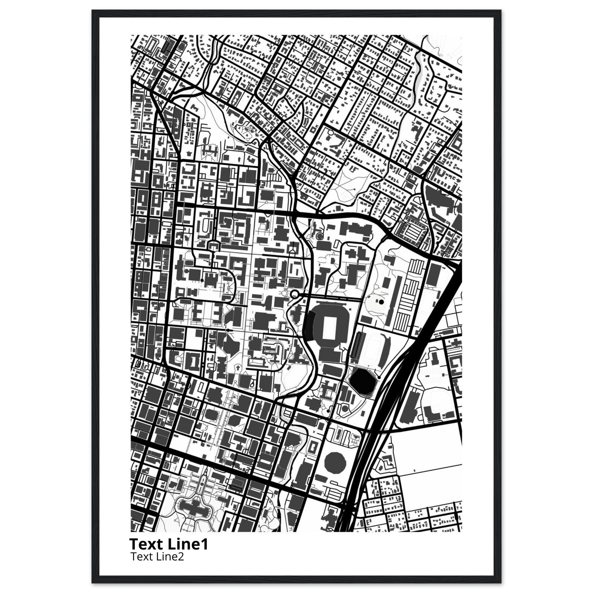 University of Texas at Austin Campus Map Poster | Graduation Gift - Ink And Atlas