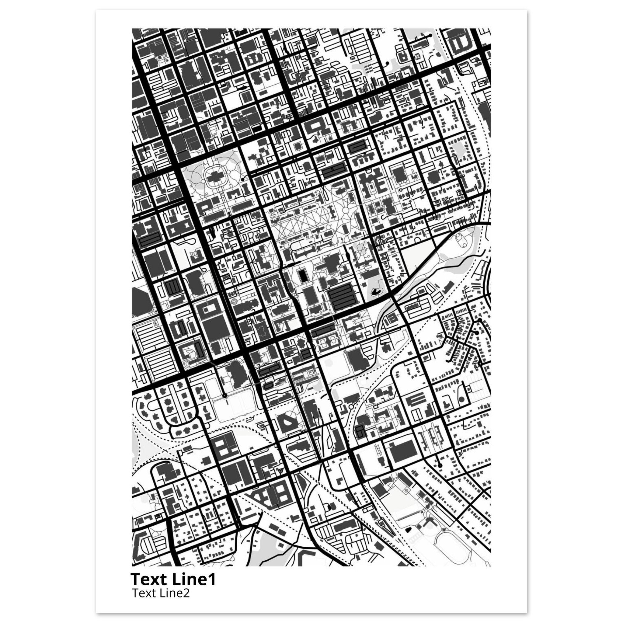 University of SC (Columbia) Campus Map Poster | Graduation Gift - Ink And Atlas