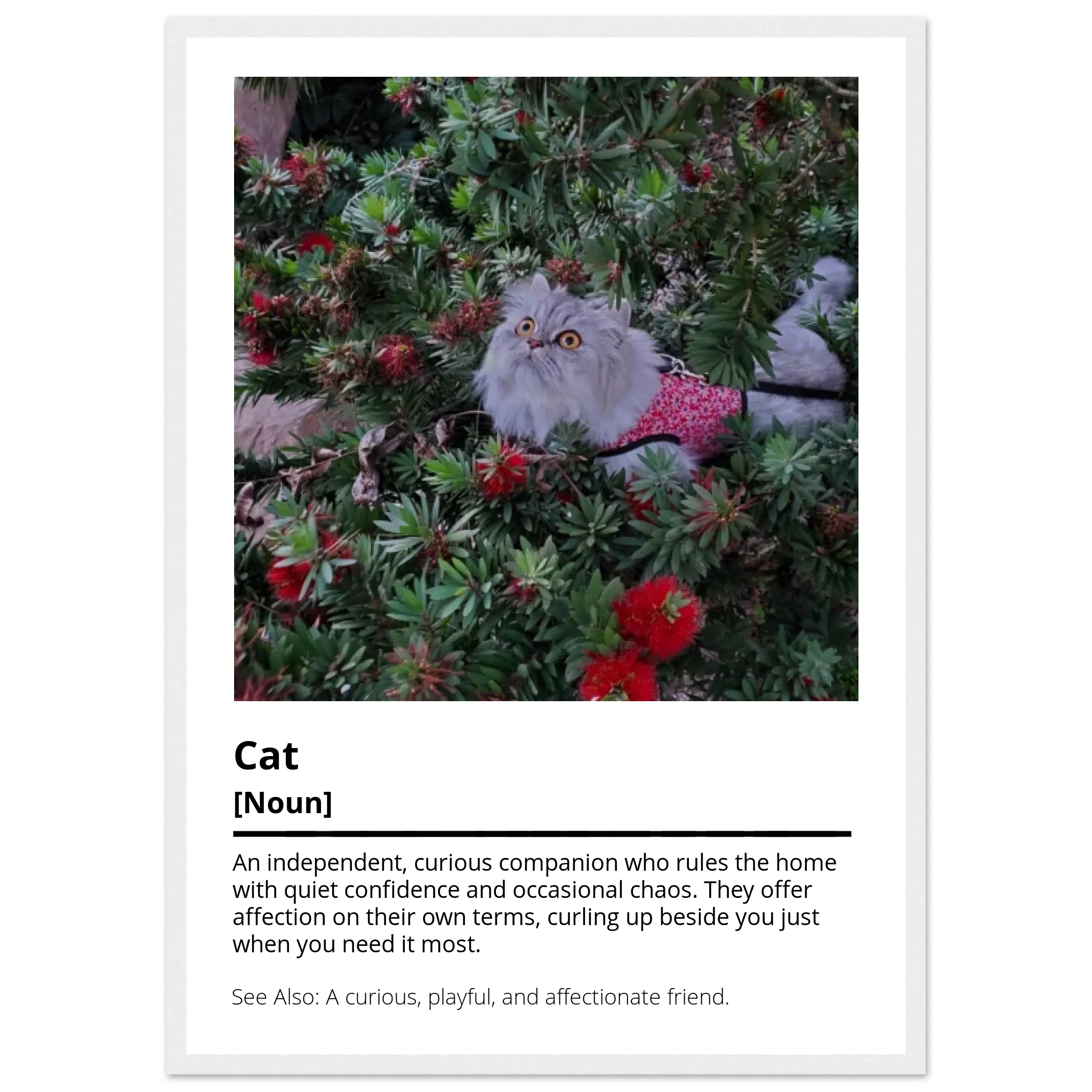 teeinblue_White_mockup