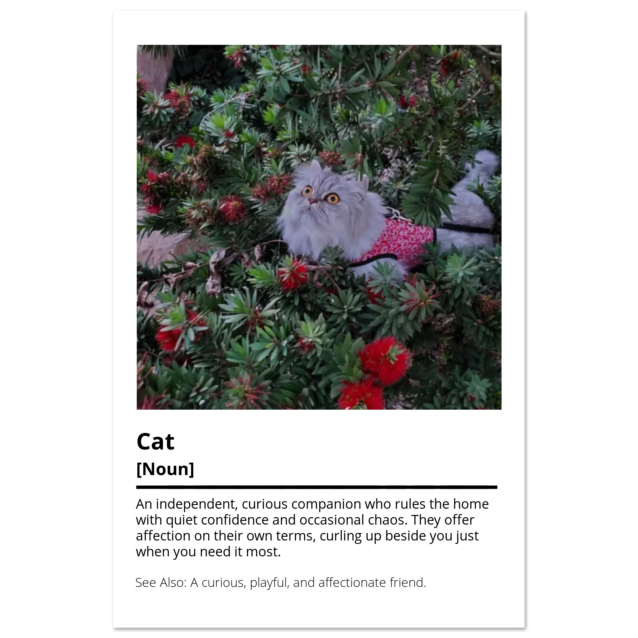 teeinblue_frameless_mockup