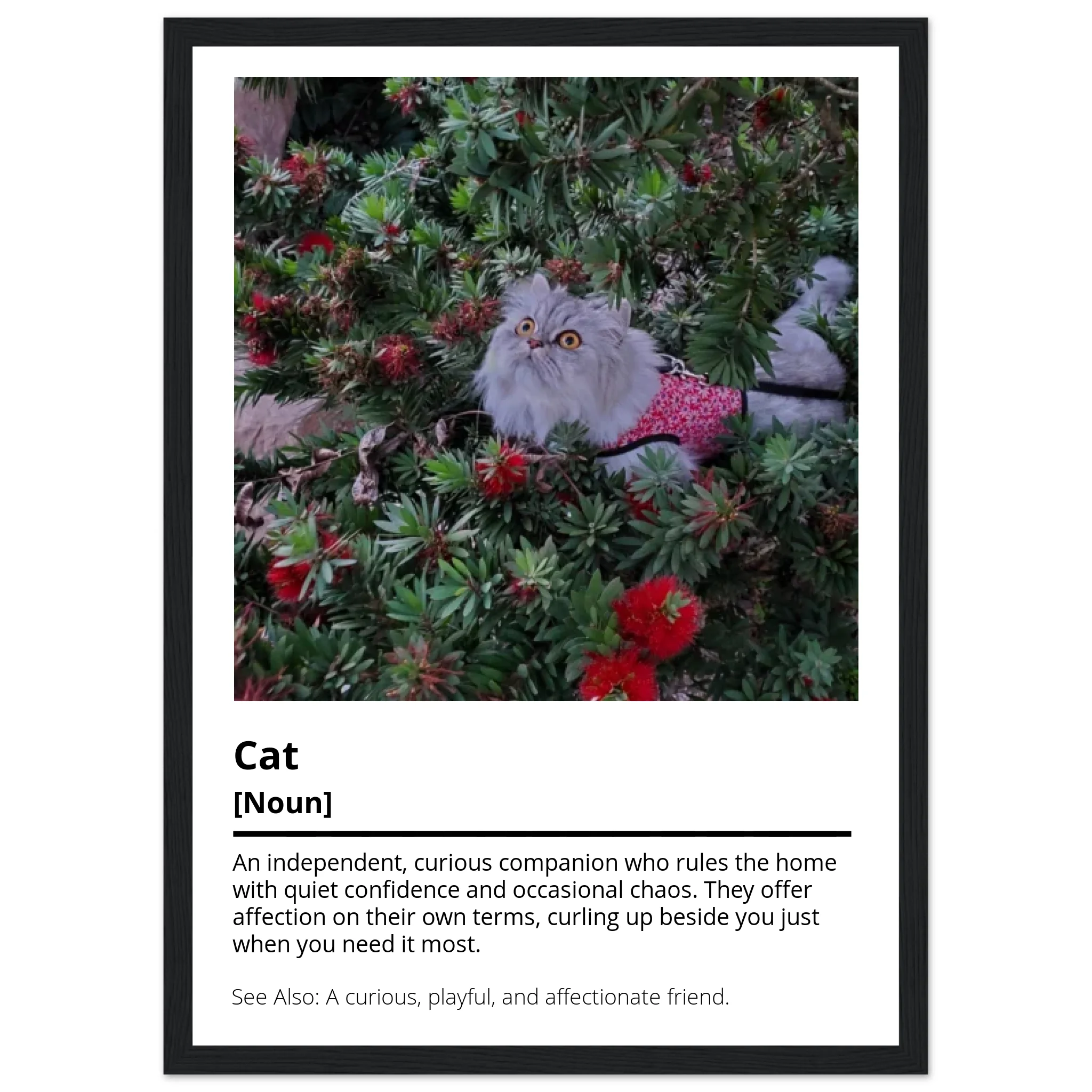 teeinblue_Black_mockup