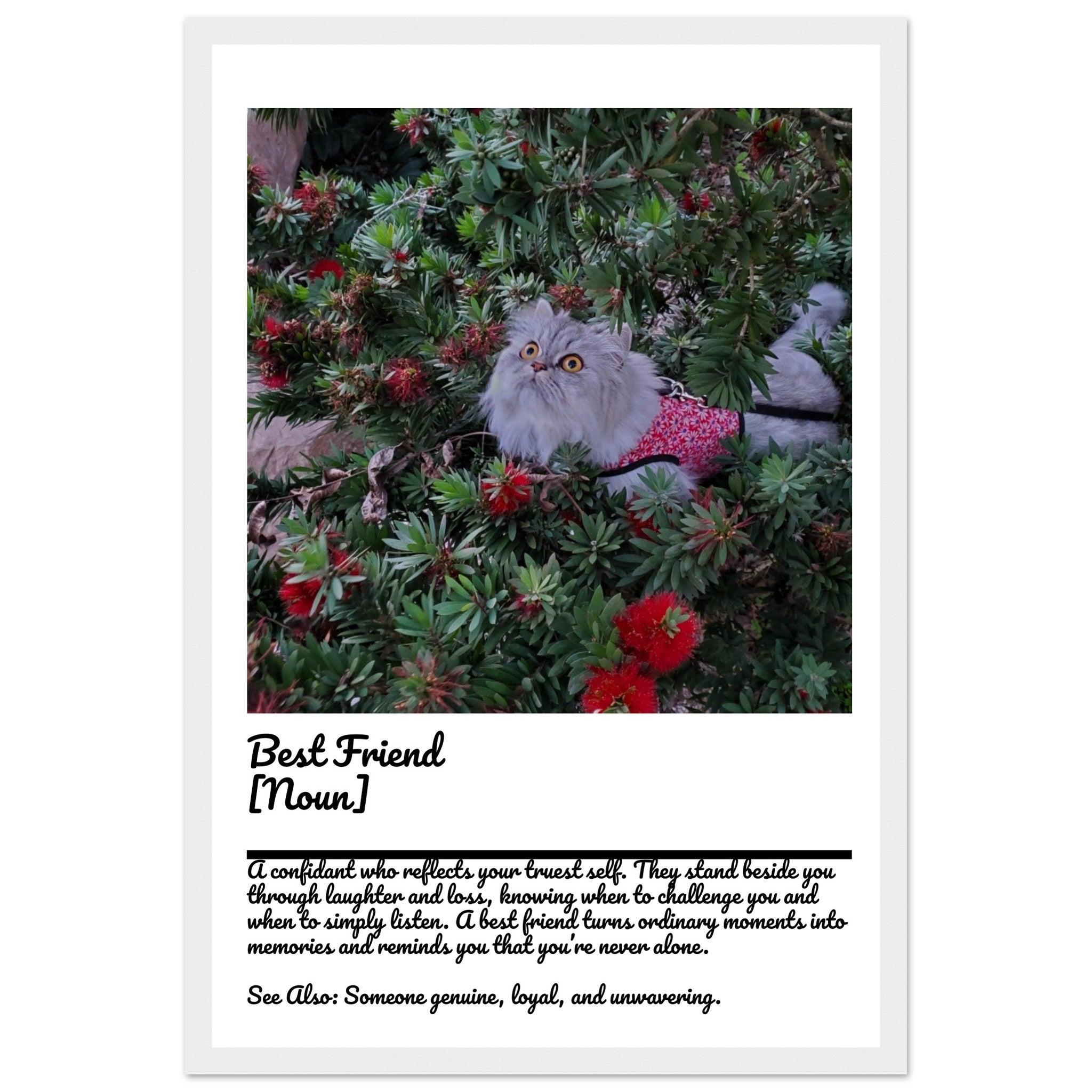 6b545b11-f8ed-4ff5-808c-5cdb639e64df