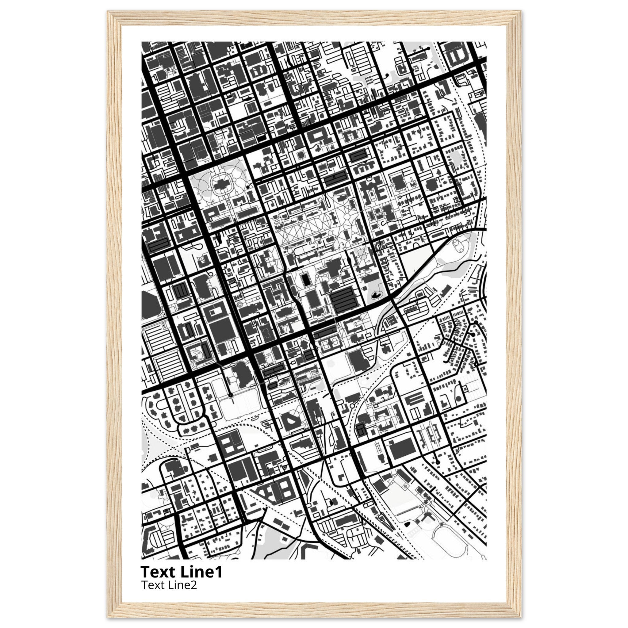 University of SC (Columbia) Campus Map Poster | Graduation Gift - Ink And Atlas