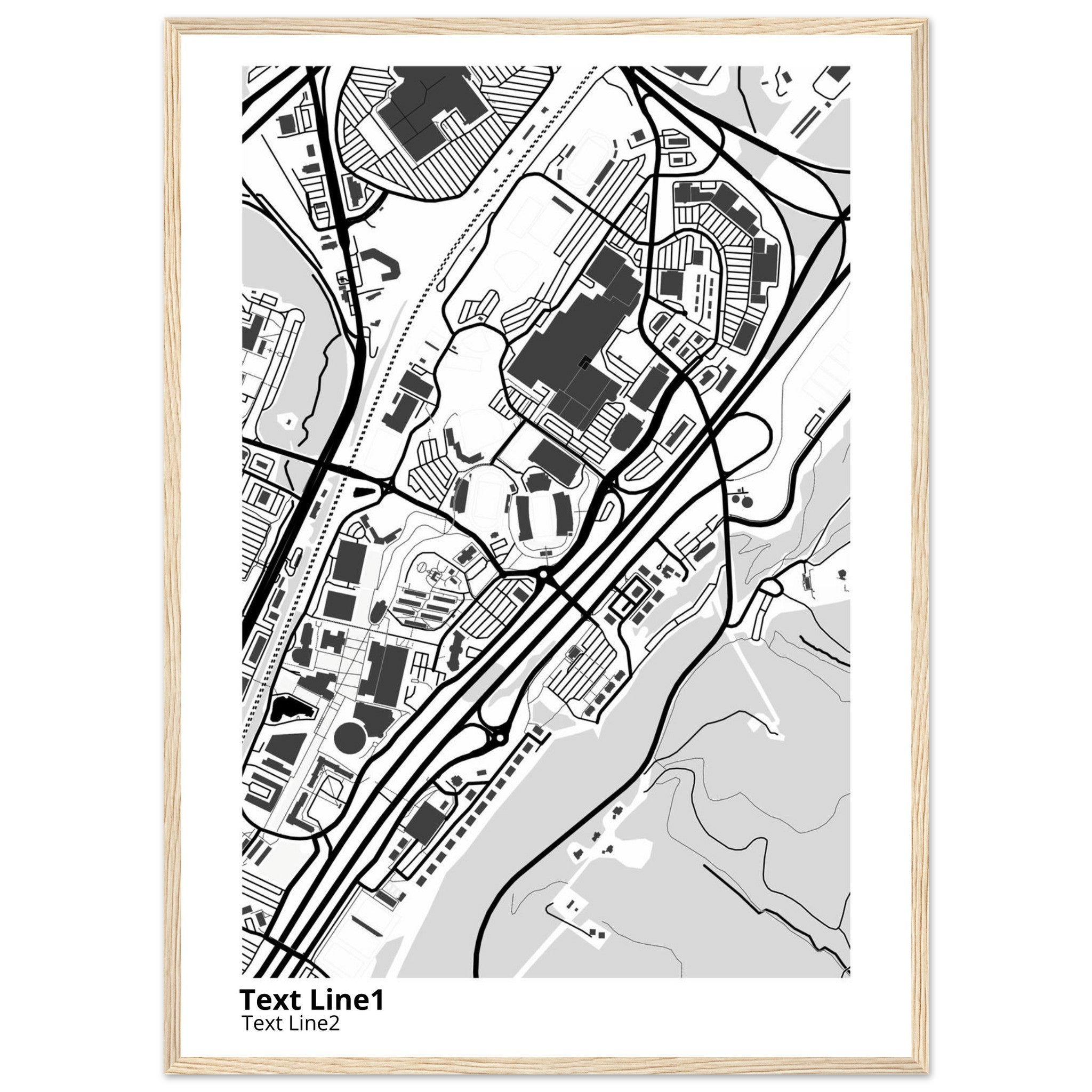 Liberty University Virginia Campus Map Poster | Graduation Gift - Ink And Atlas