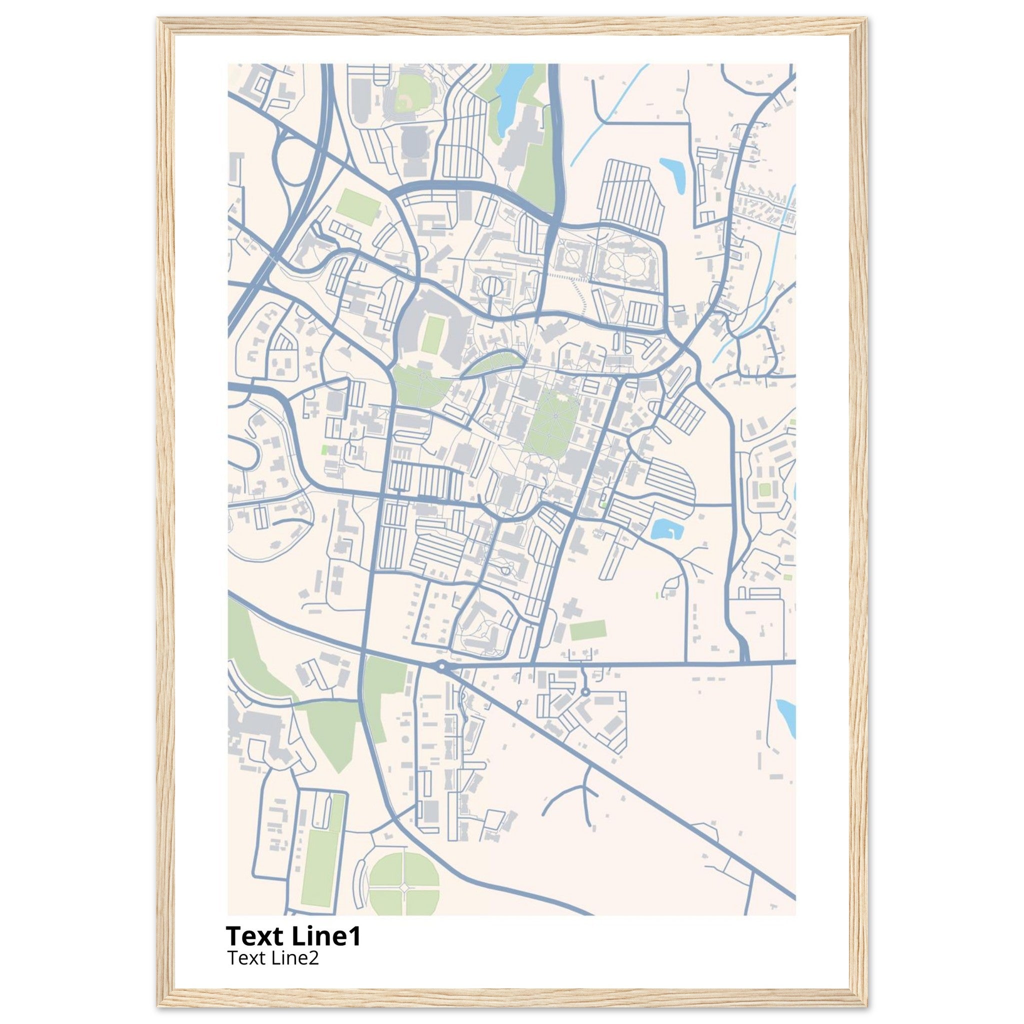 mississippi state university campus map poster
