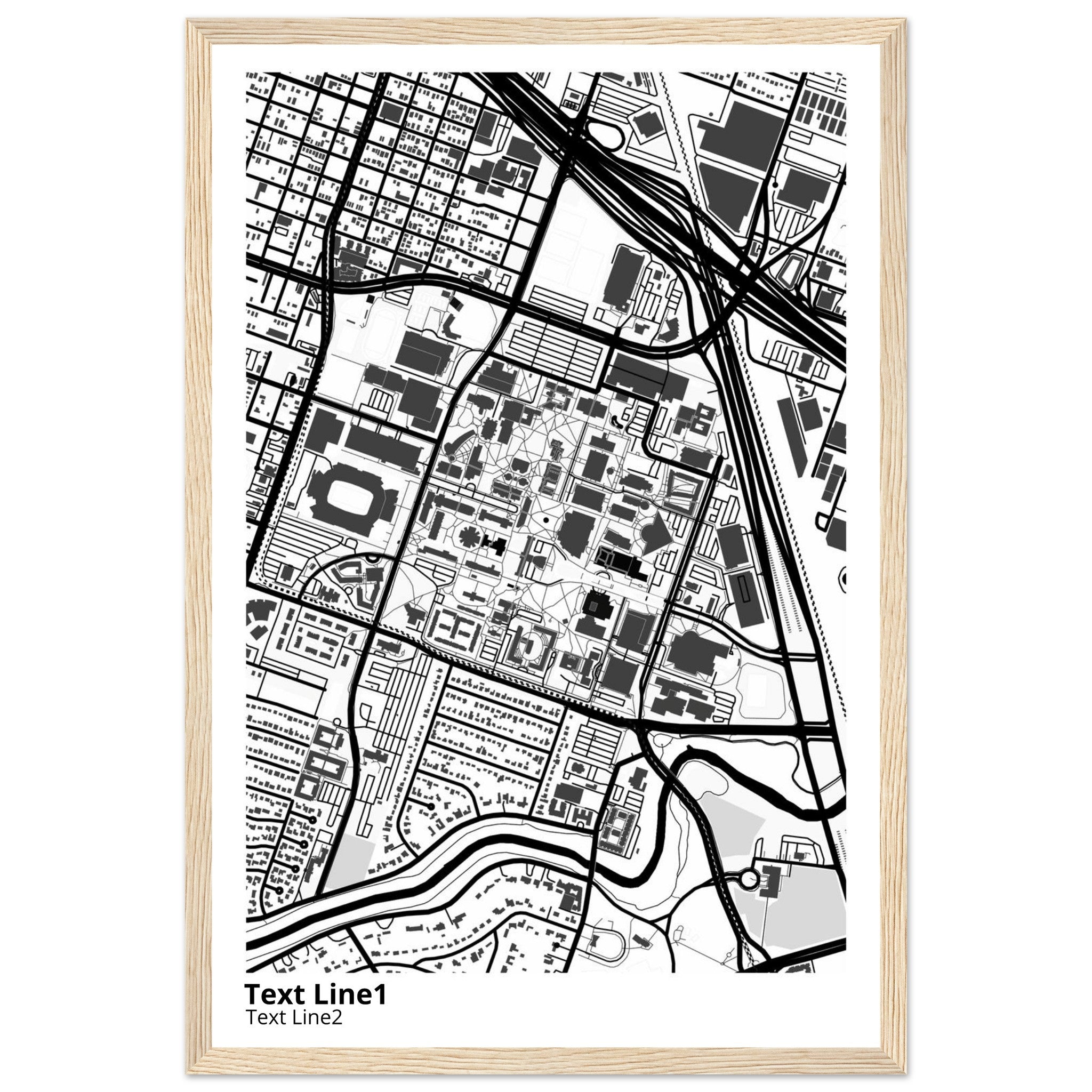 university of houston texas campus map poster