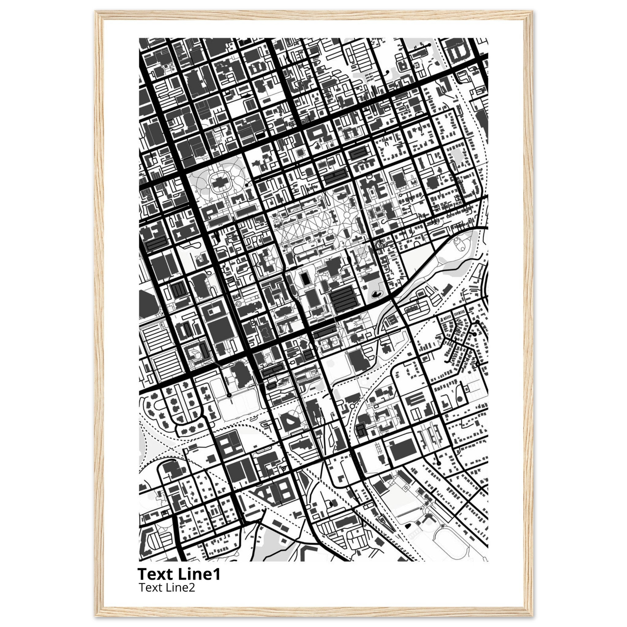 University of SC (Columbia) Campus Map Poster | Graduation Gift - Ink And Atlas