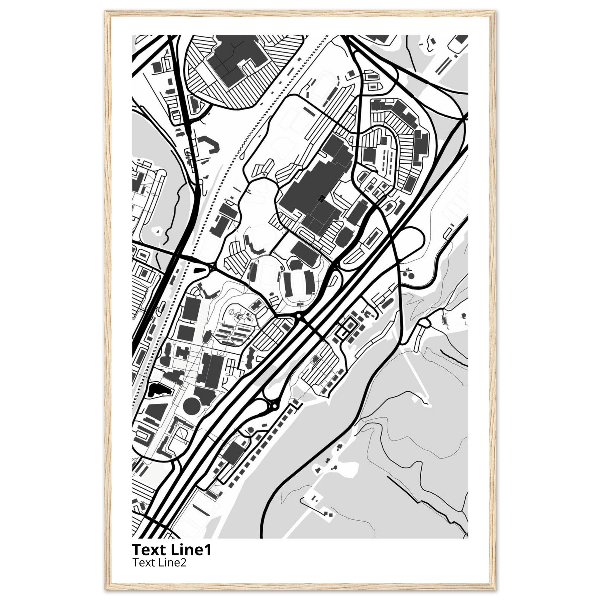 Liberty University Virginia Campus Map Poster | Graduation Gift - Ink And Atlas
