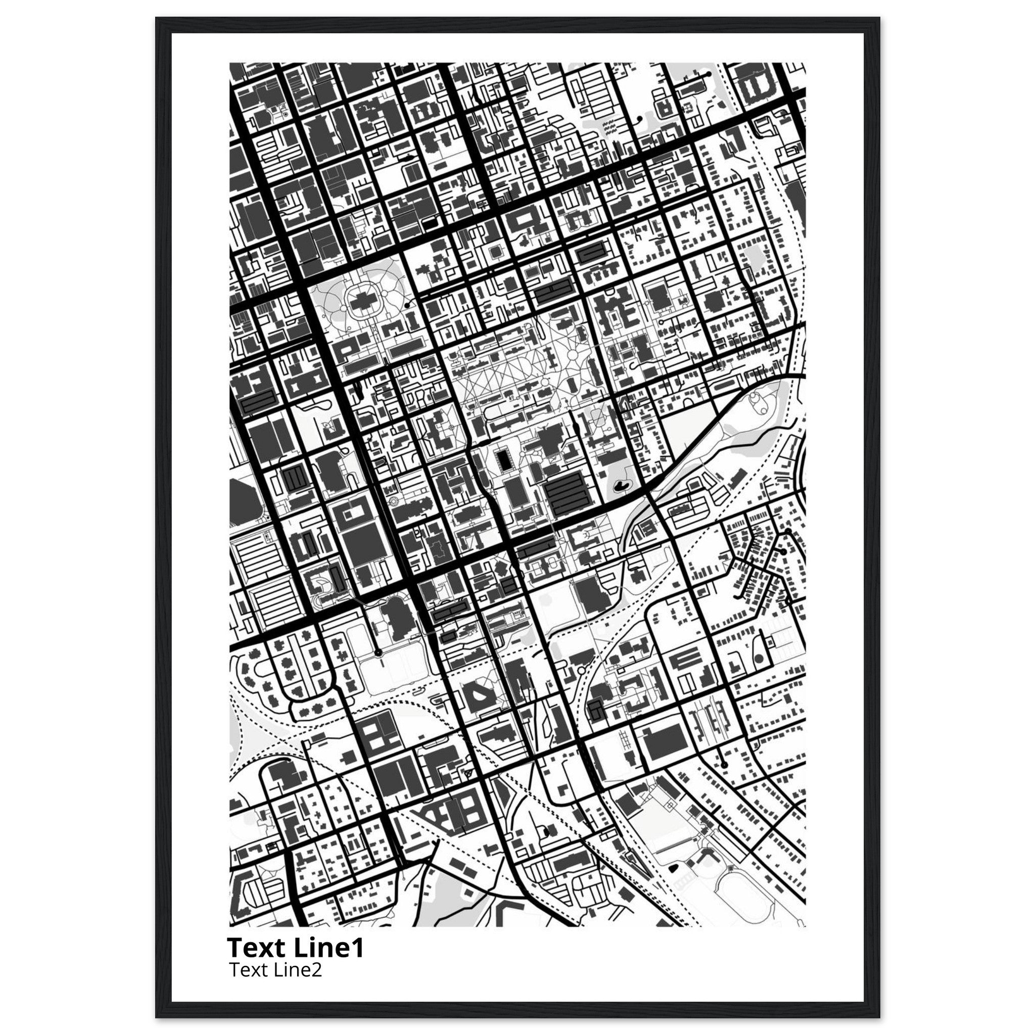 University of SC (Columbia) Campus Map Poster | Graduation Gift - Ink And Atlas
