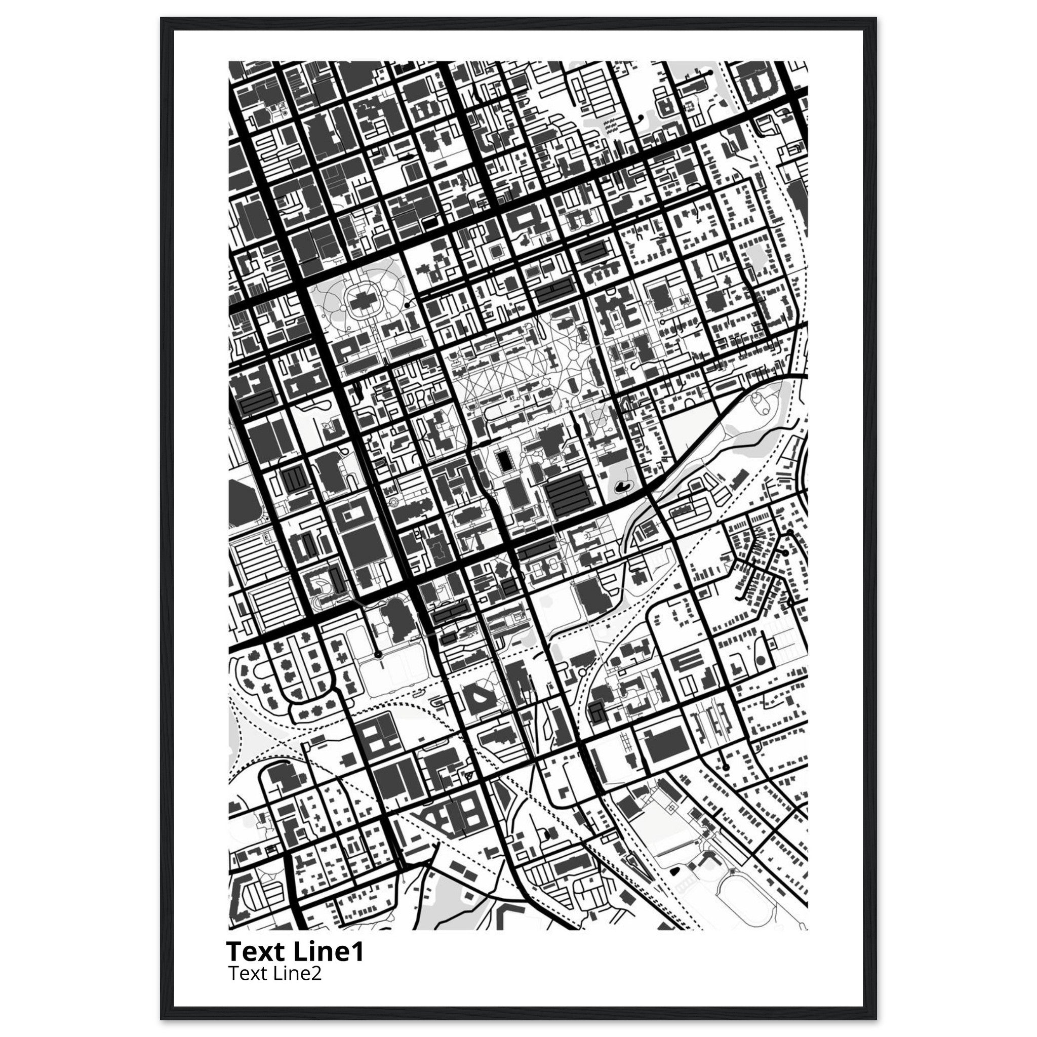 University of SC (Columbia) Campus Map Poster | Graduation Gift - Ink And Atlas
