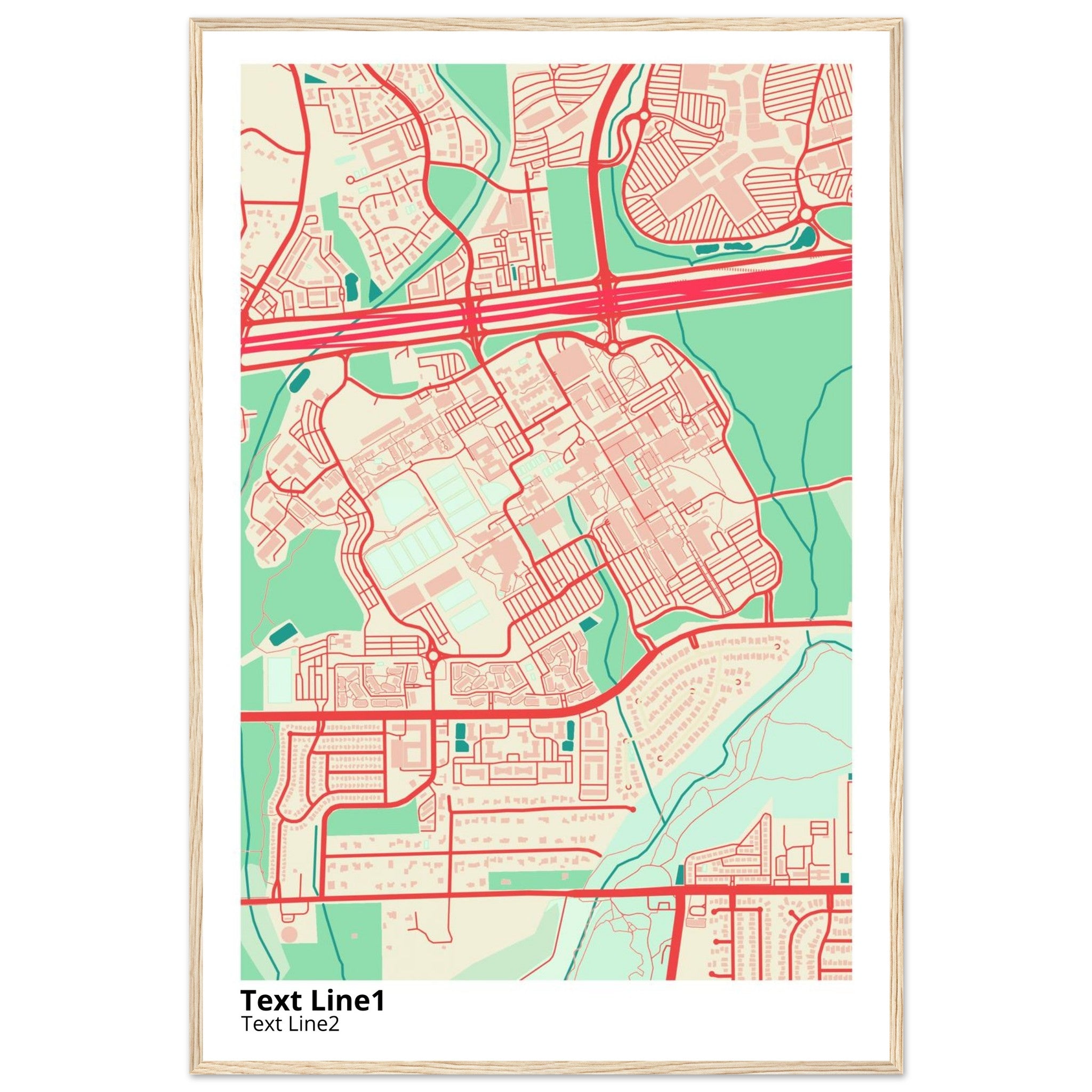 The University of Texas San Antonio Campus Map Poster | Alumni Gift - Ink And Atlas