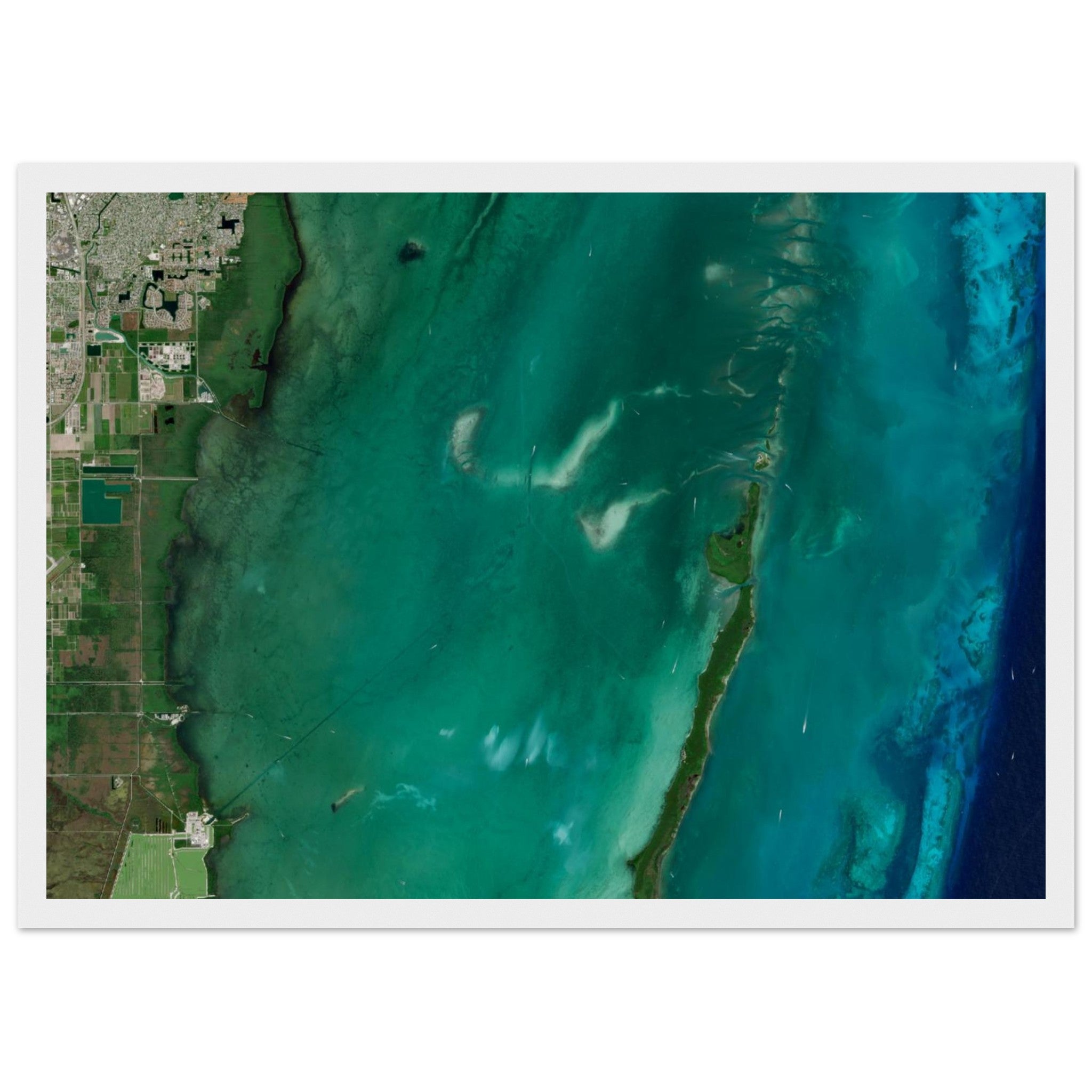 Biscayne National Park Natural Earth Print - Ink And Atlas