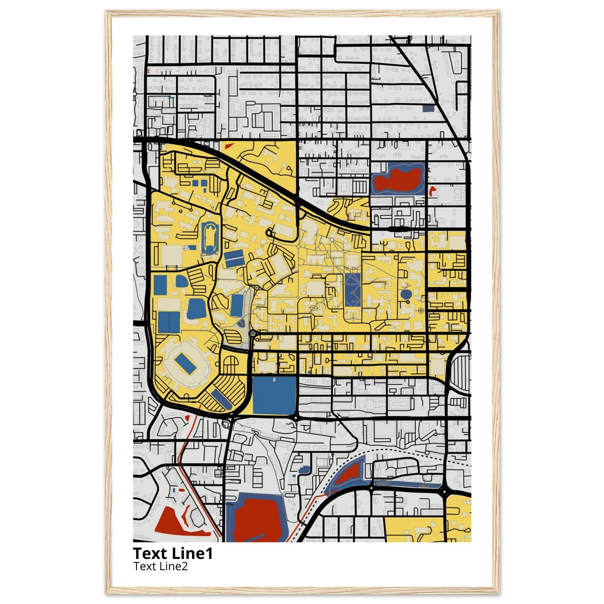 florida state university campus map poster