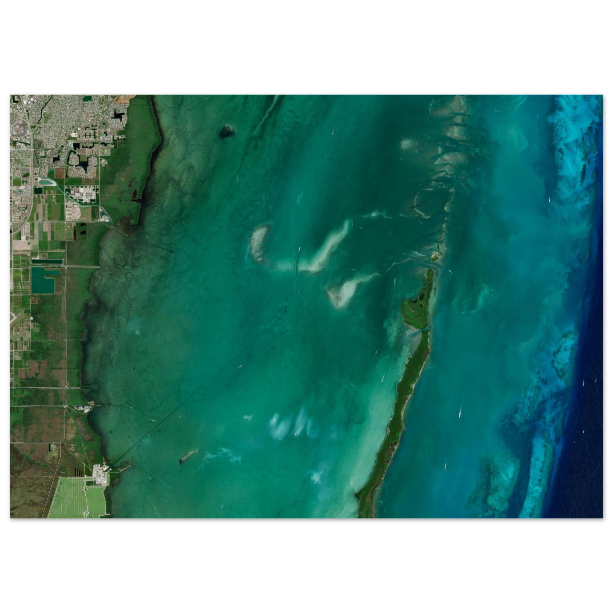 Biscayne National Park Natural Earth Print - Ink And Atlas