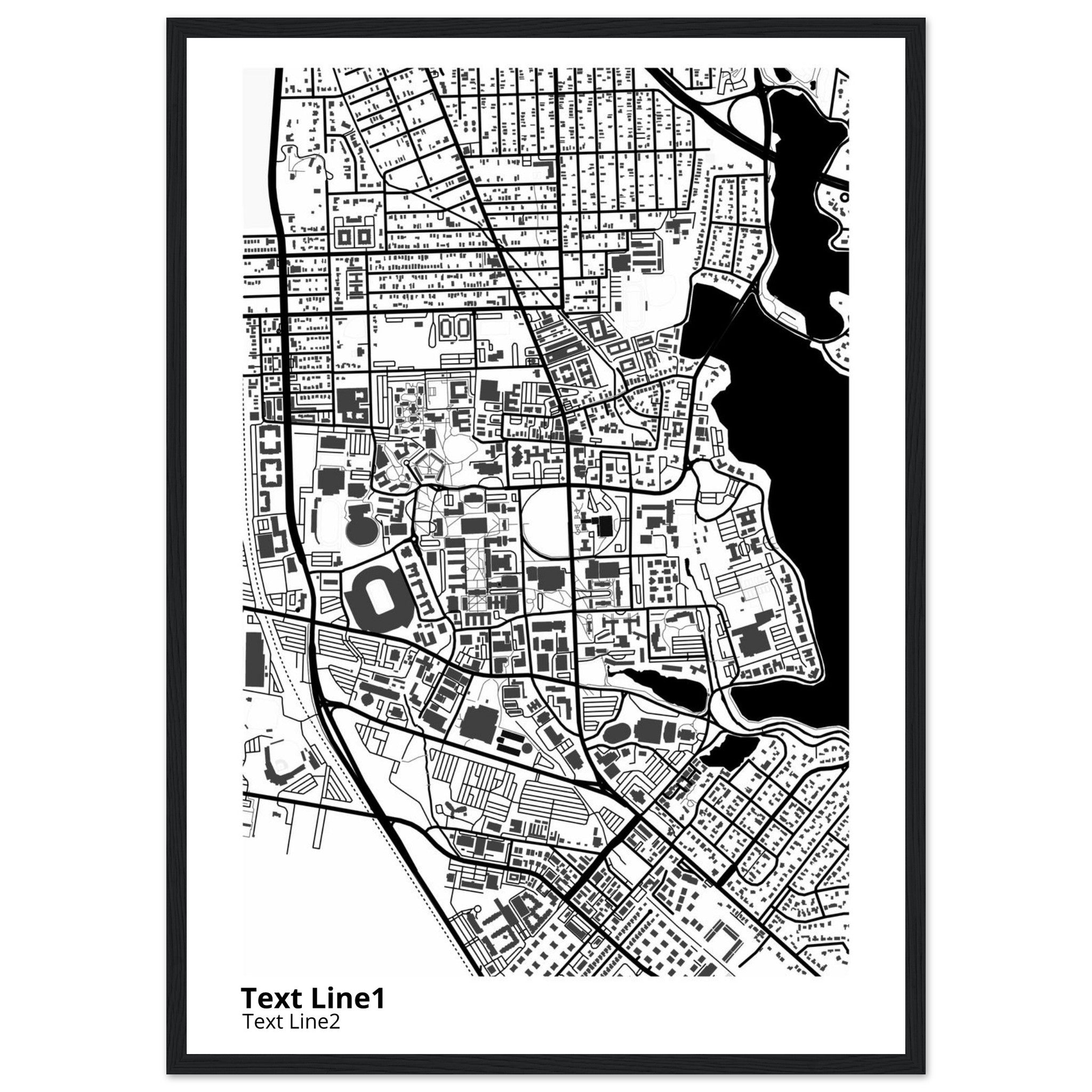 louisiana state university and agricultural and mechanical college campus map poster