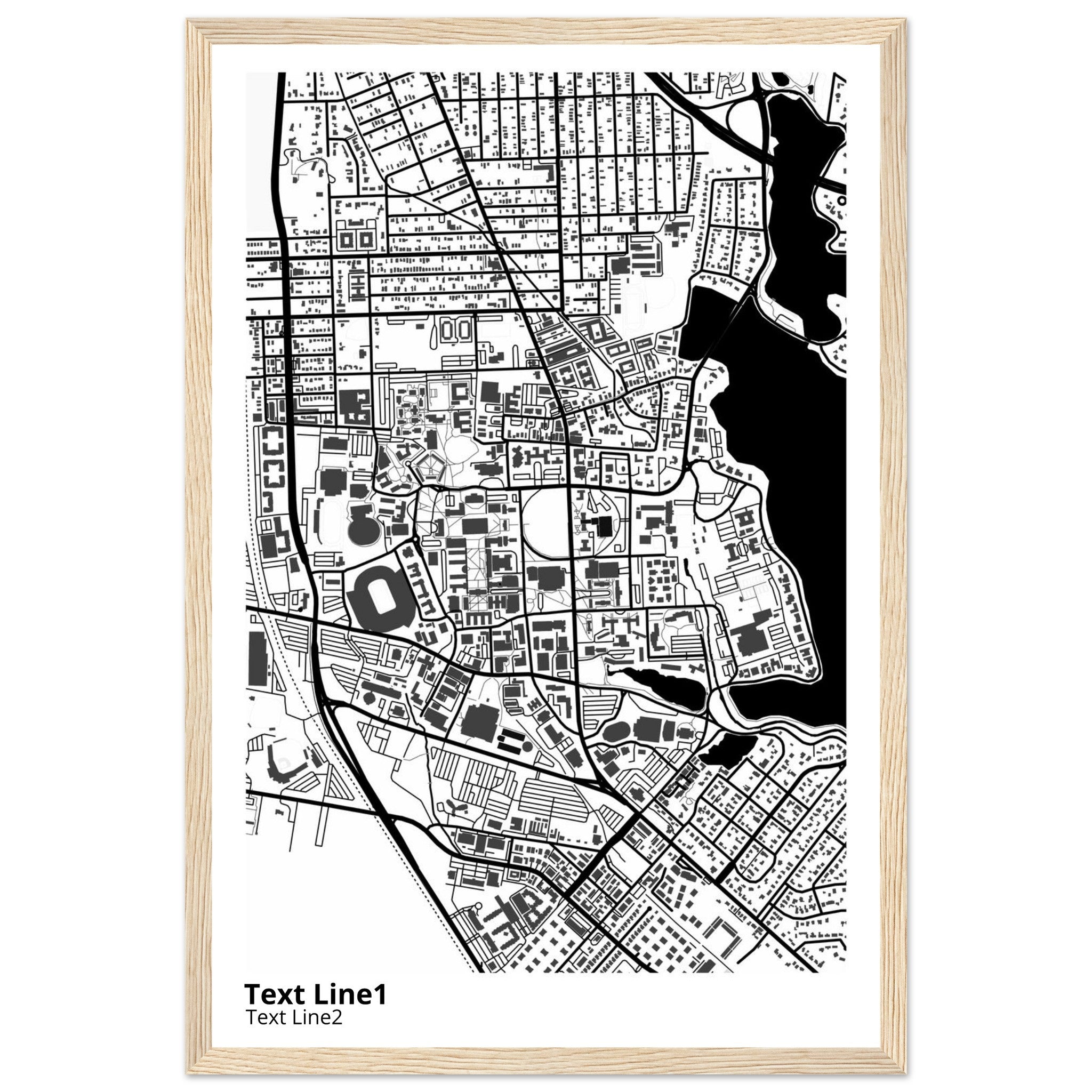 louisiana state university and agricultural and mechanical college campus map poster