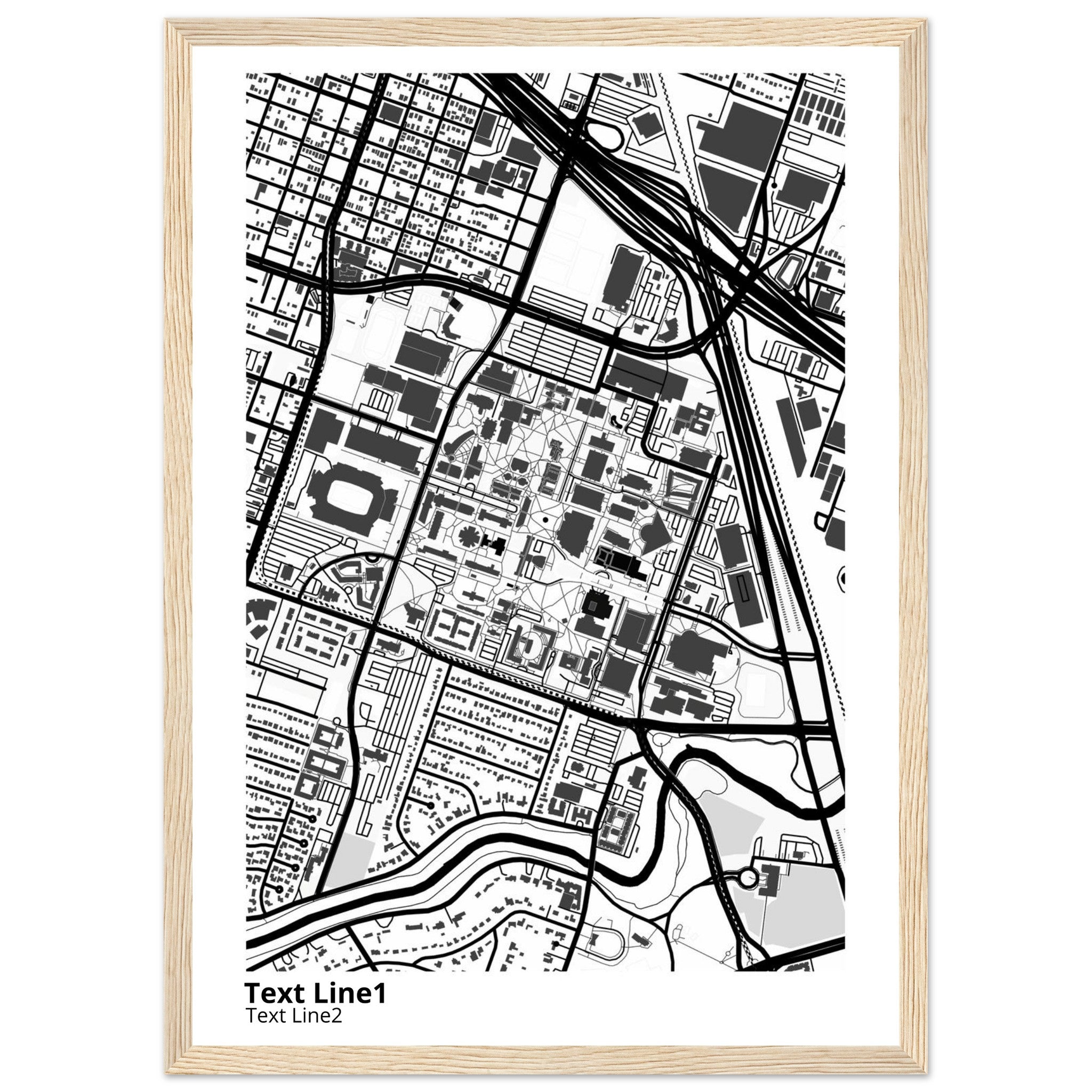 university of houston texas campus map poster