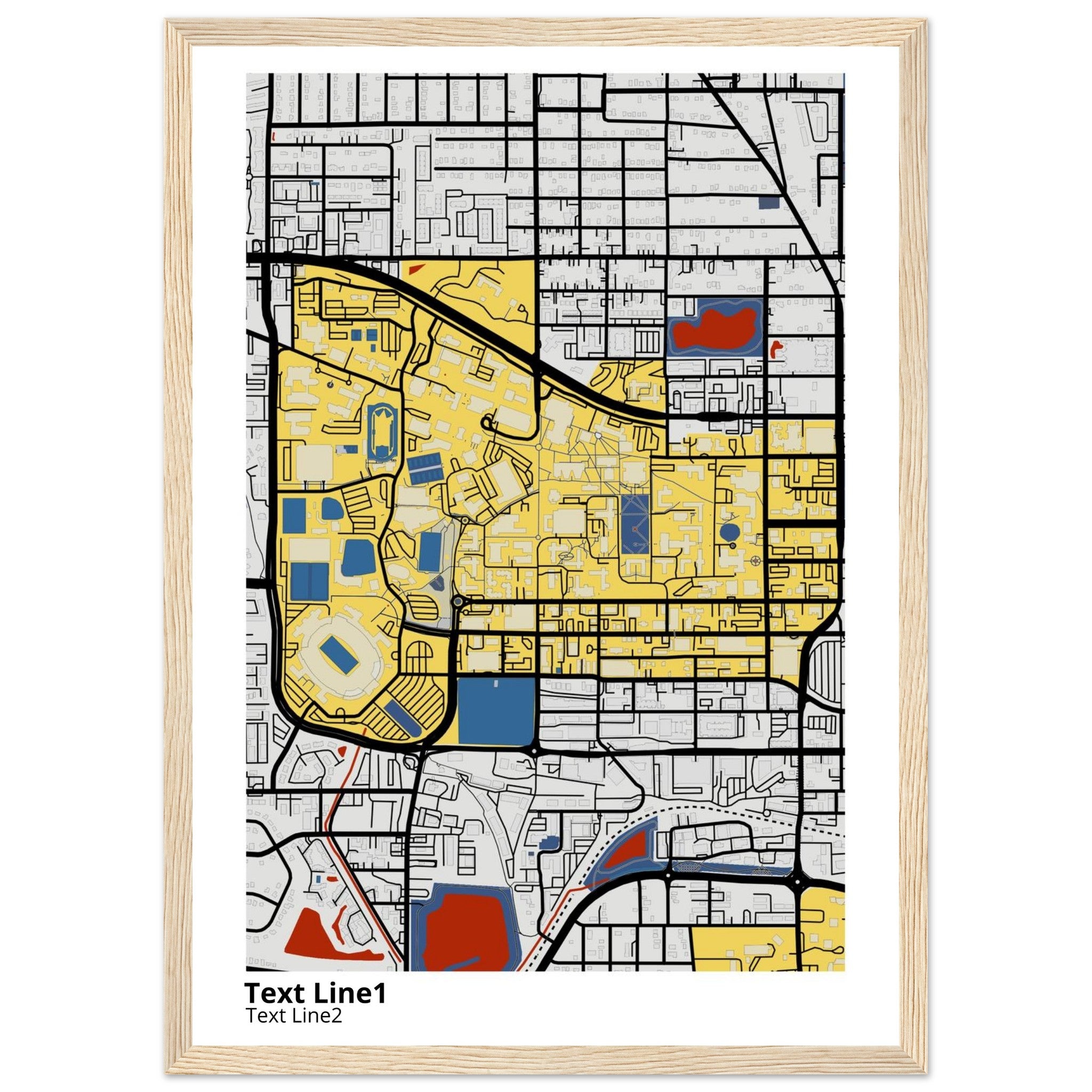 florida state university campus map poster
