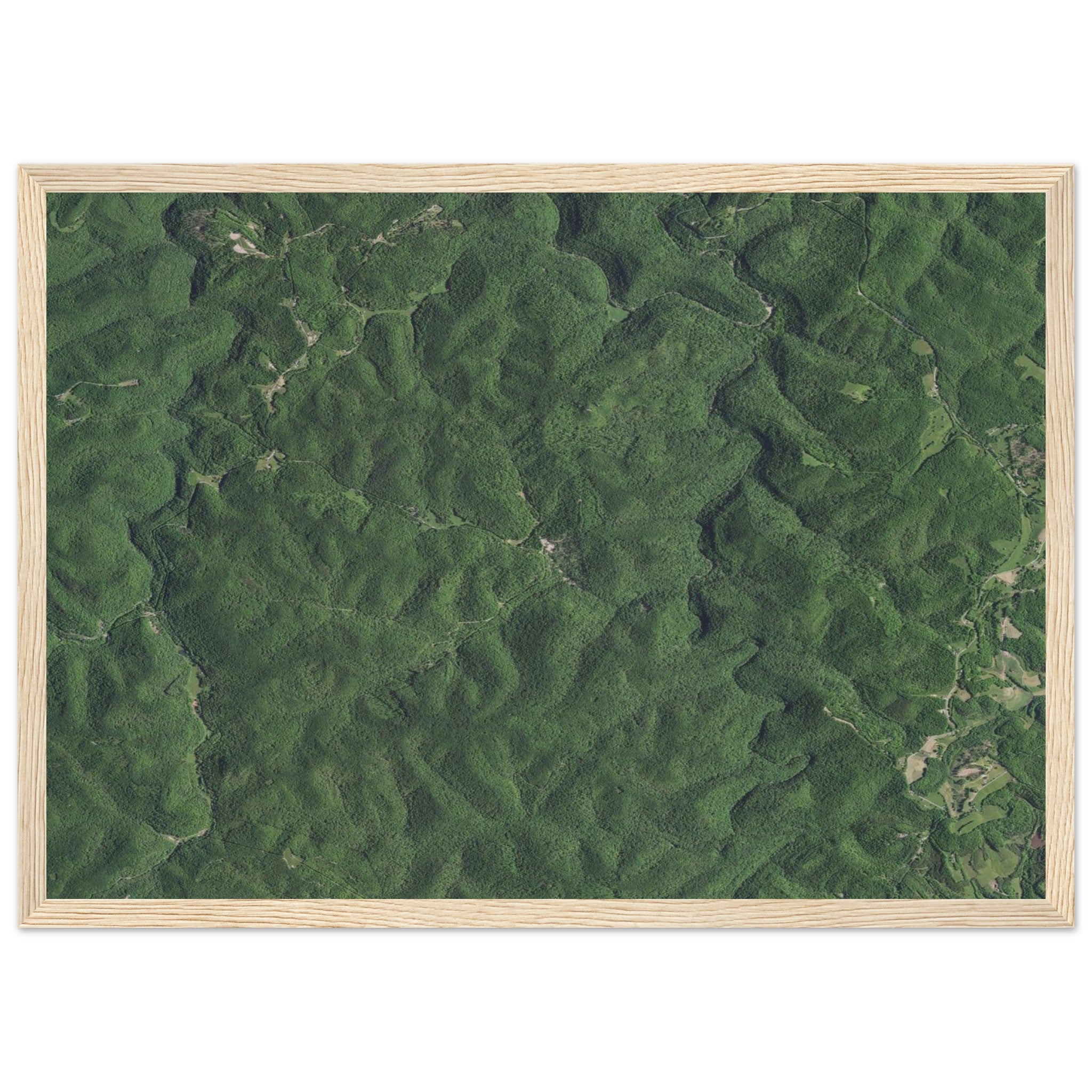 Wind Cave National Park Natural Earth Print - Ink And Atlas